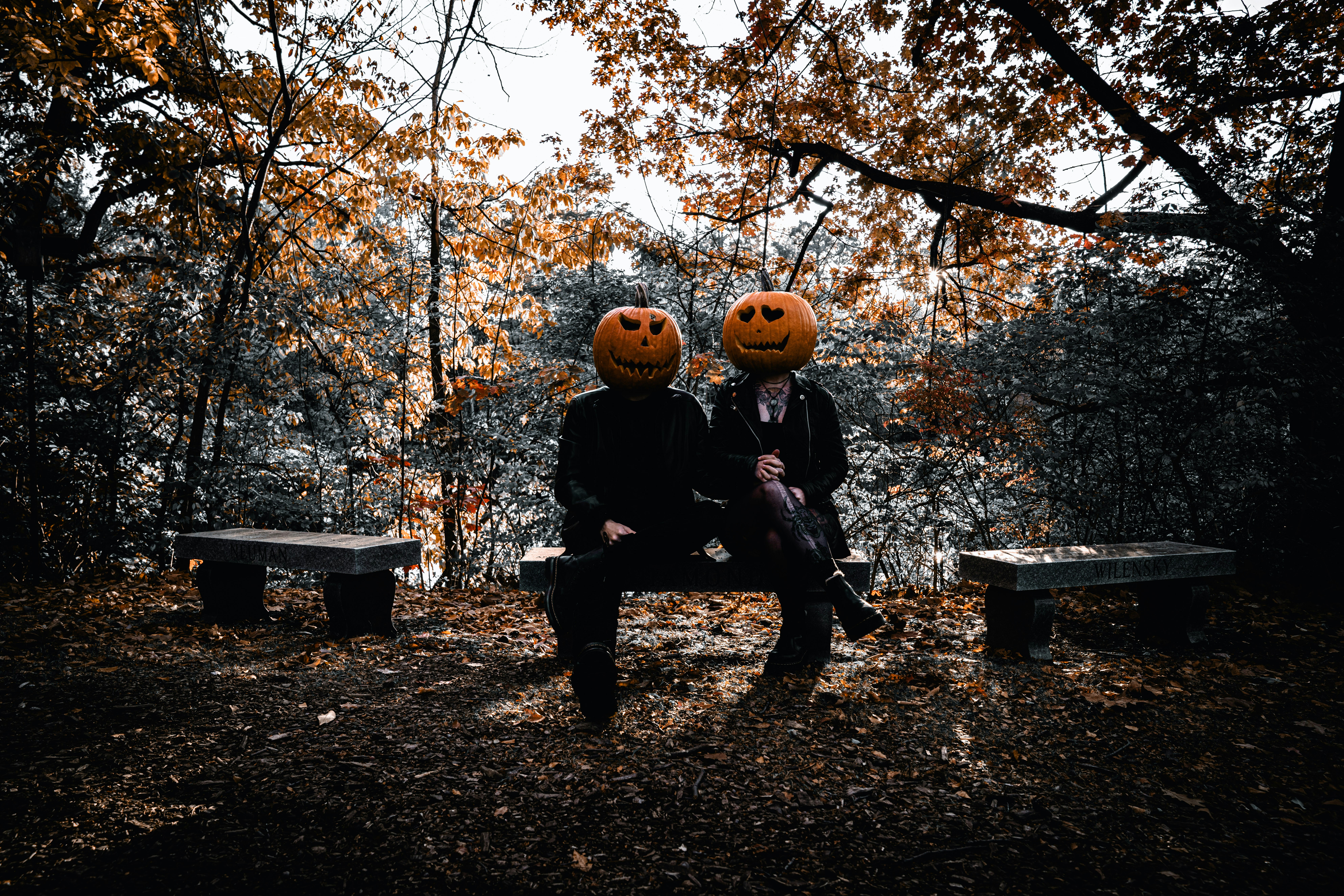 Two people with pumpkin heads sitting on a bench.