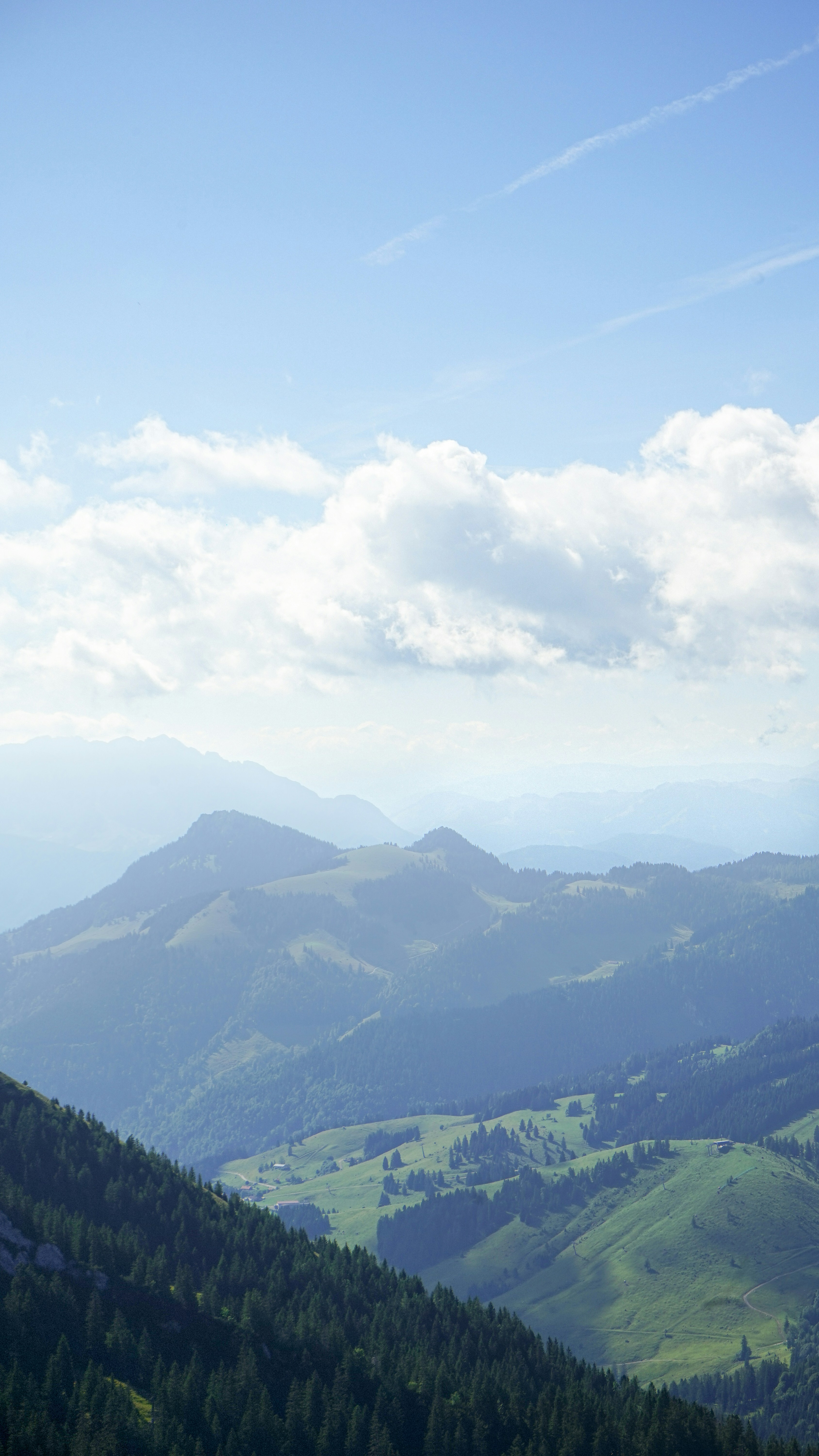 Photo by henry_moellers1901