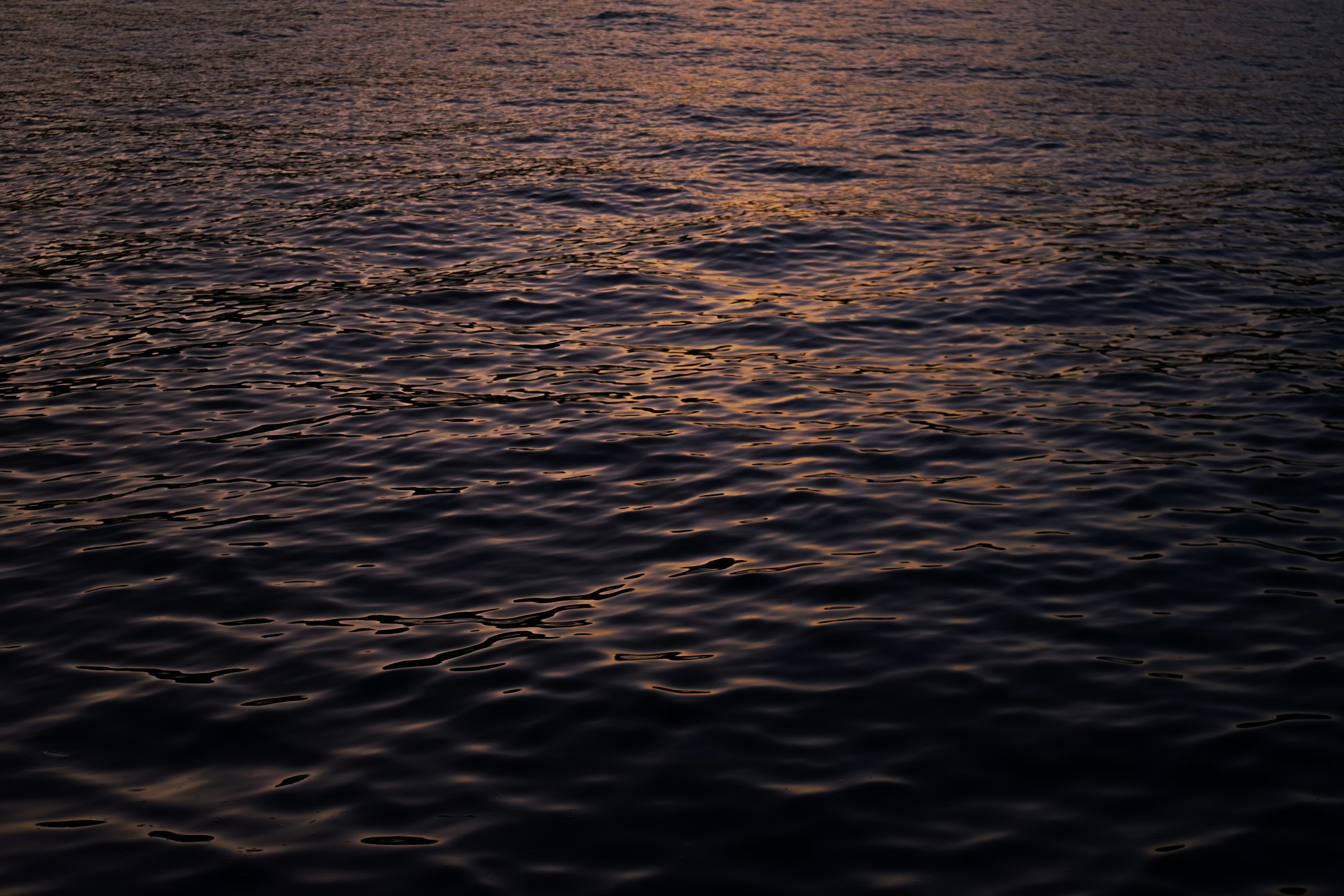 Photo by henry_moellers1901