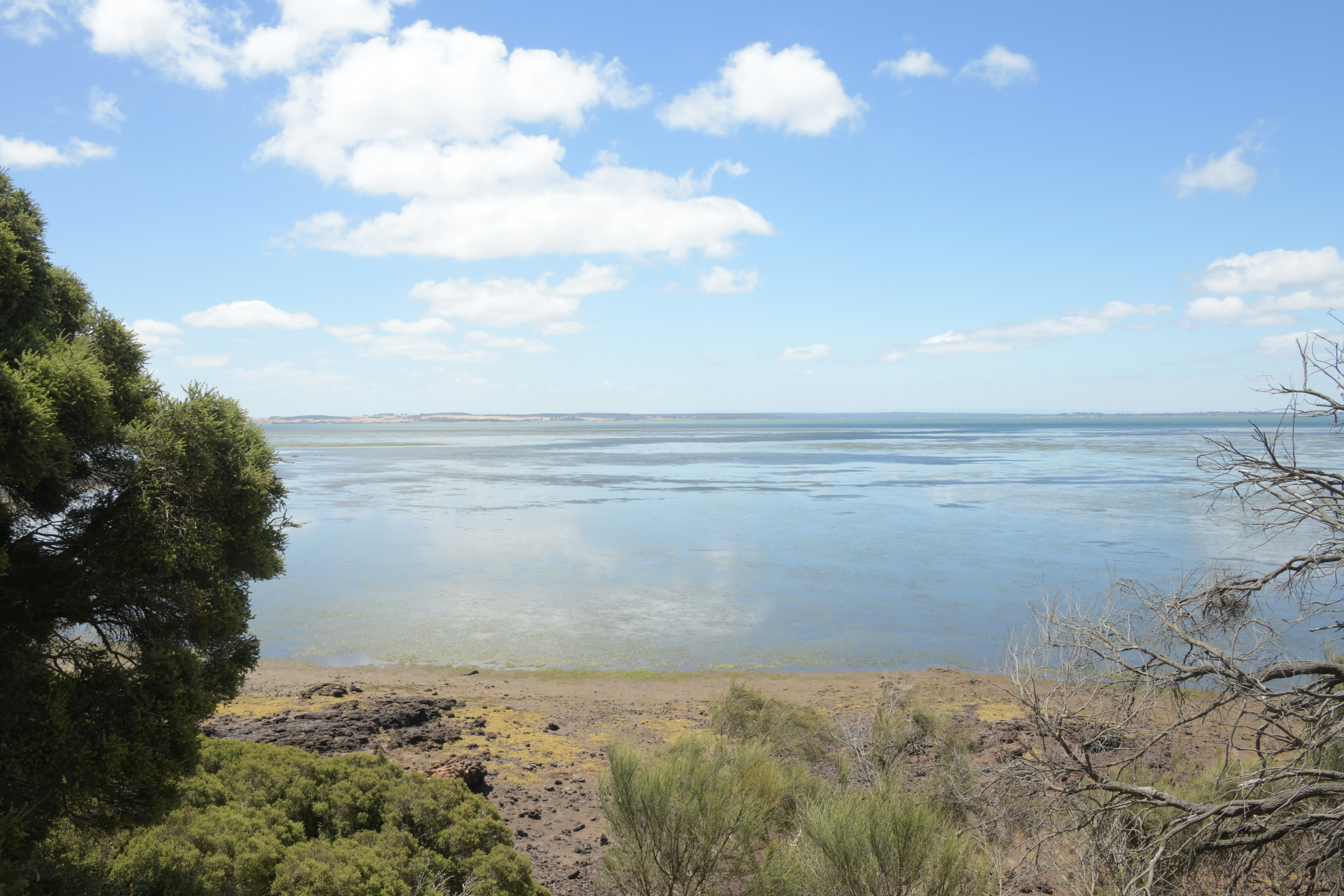 Photo by richard7seals