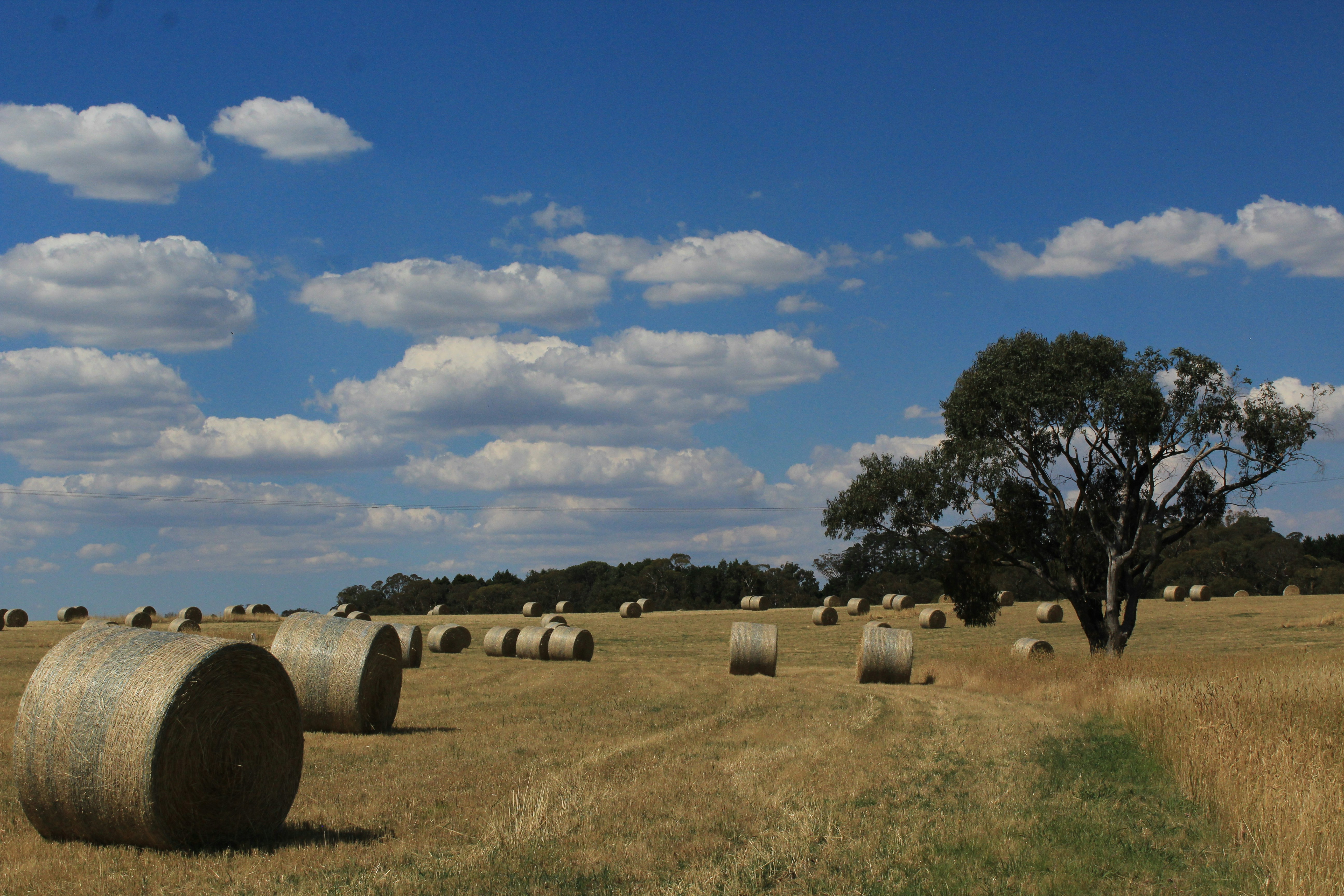 Photo by light_and_hope