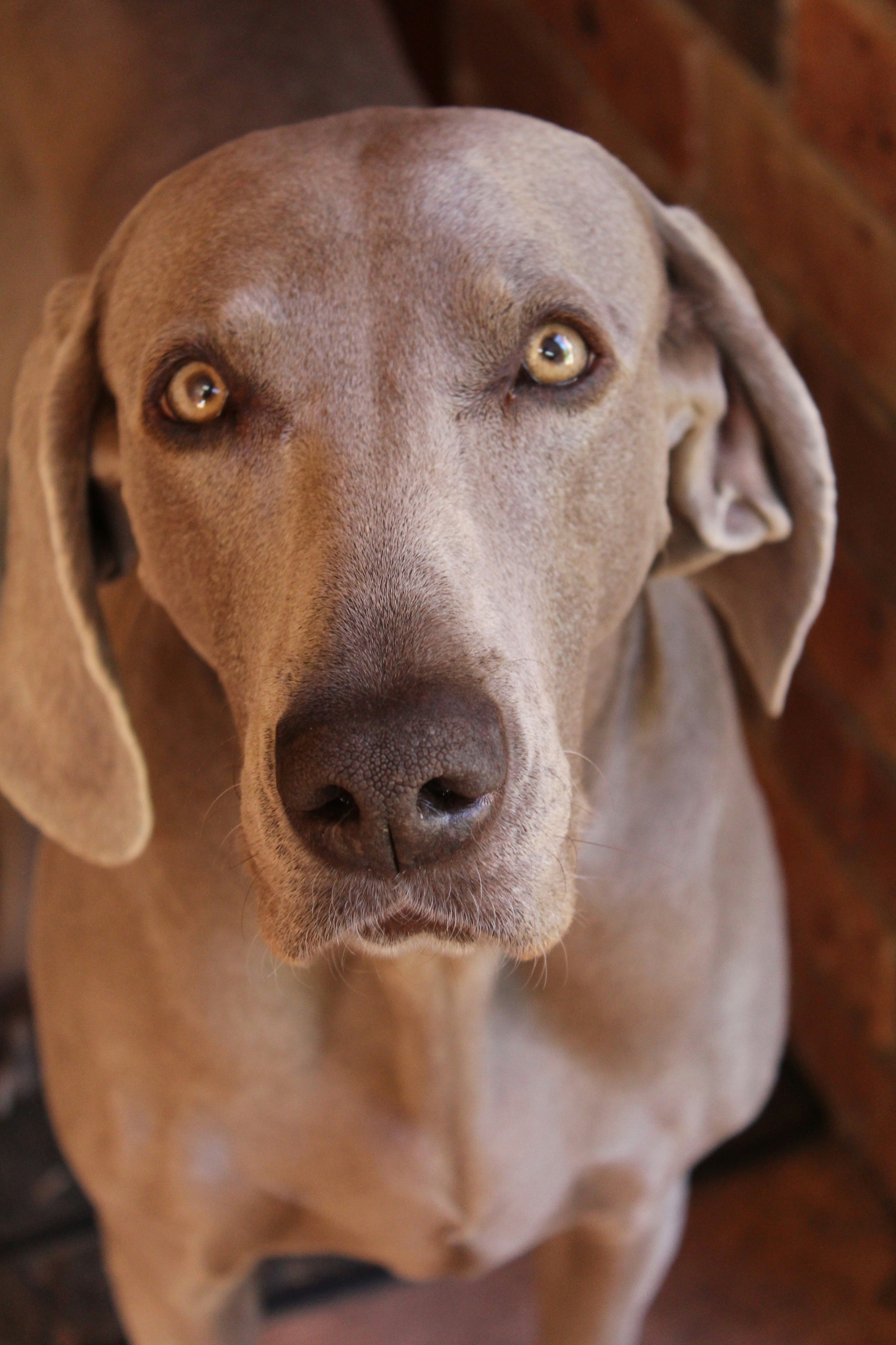 Photo by light_and_hope