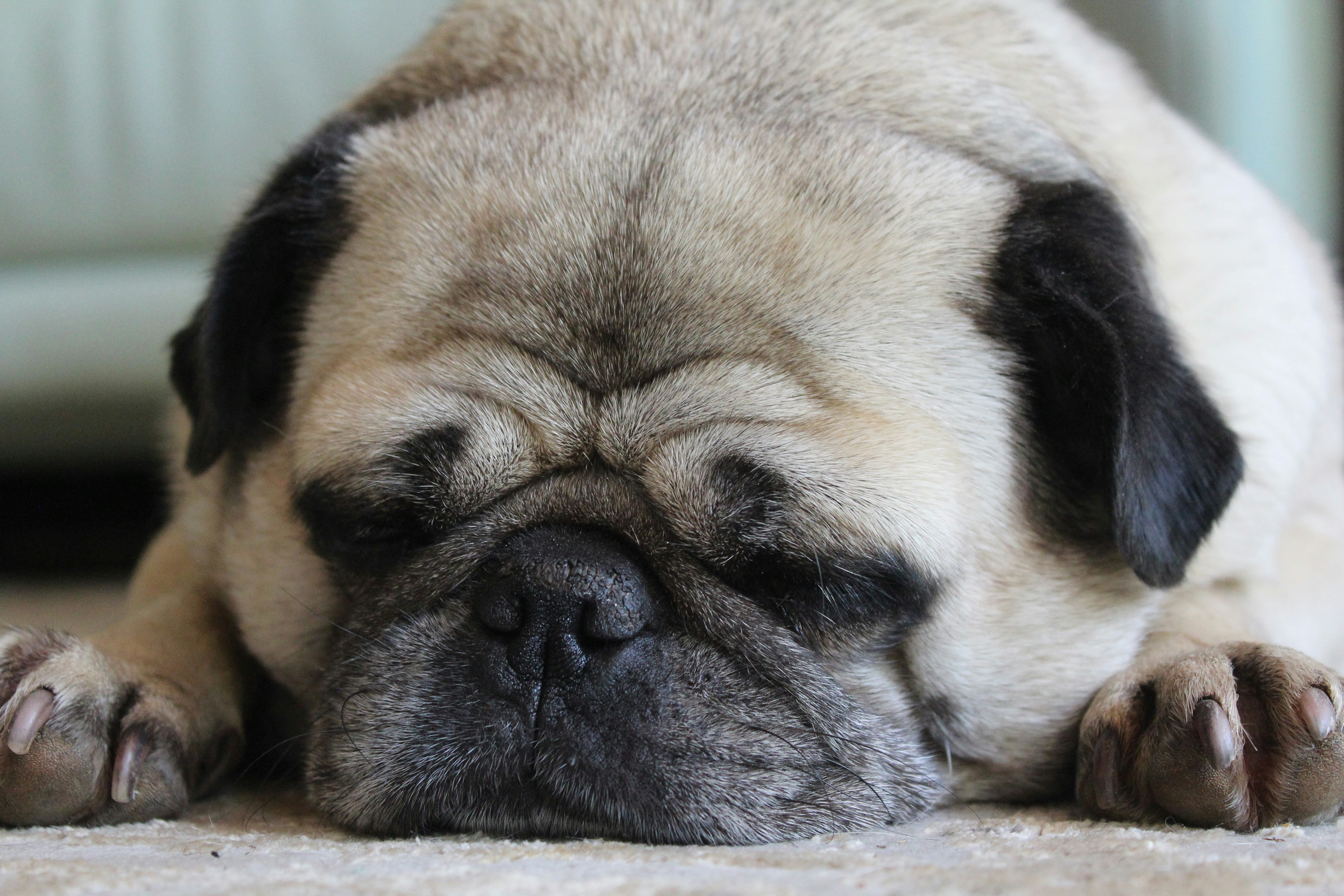 Photo by light_and_hope