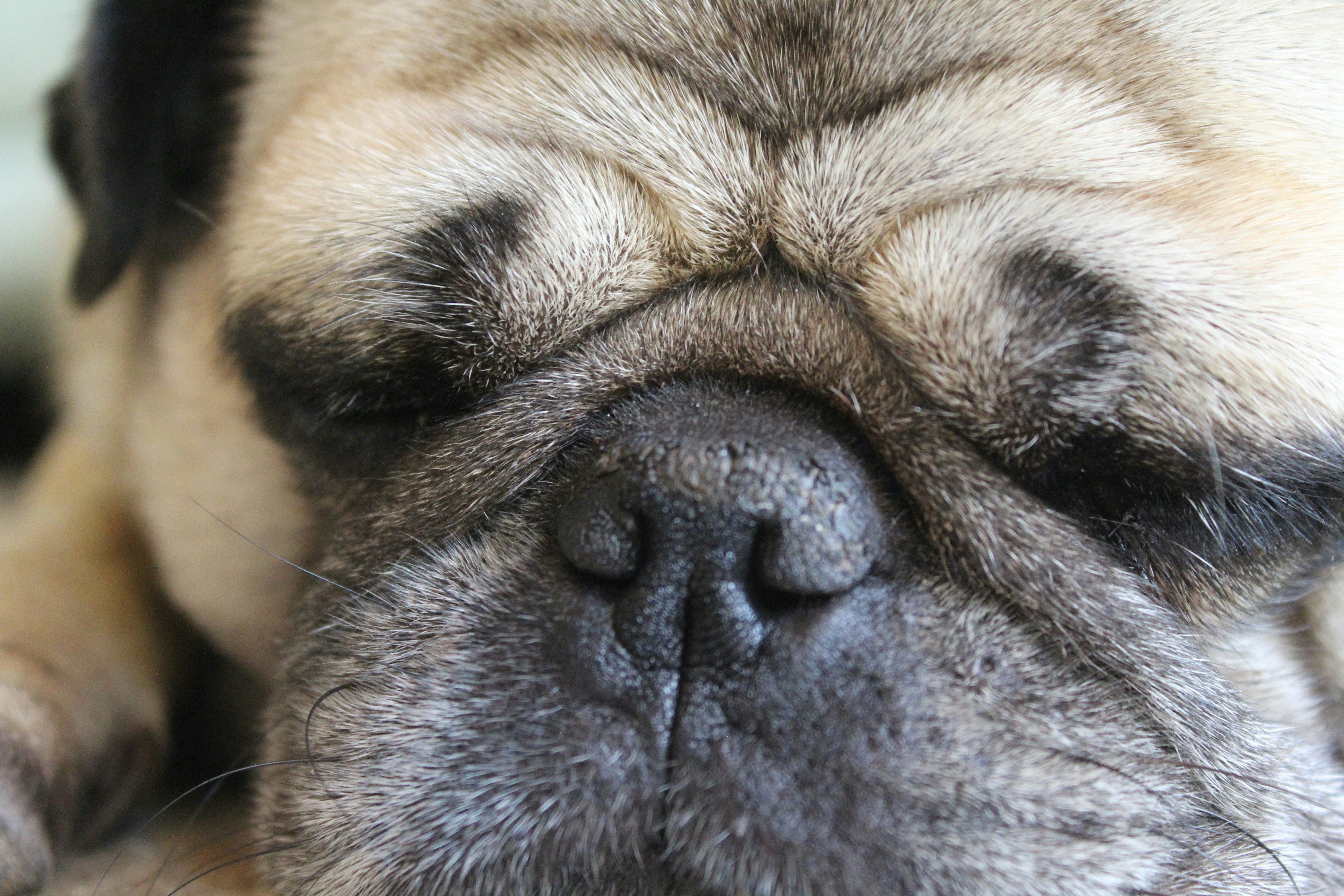 Photo by light_and_hope