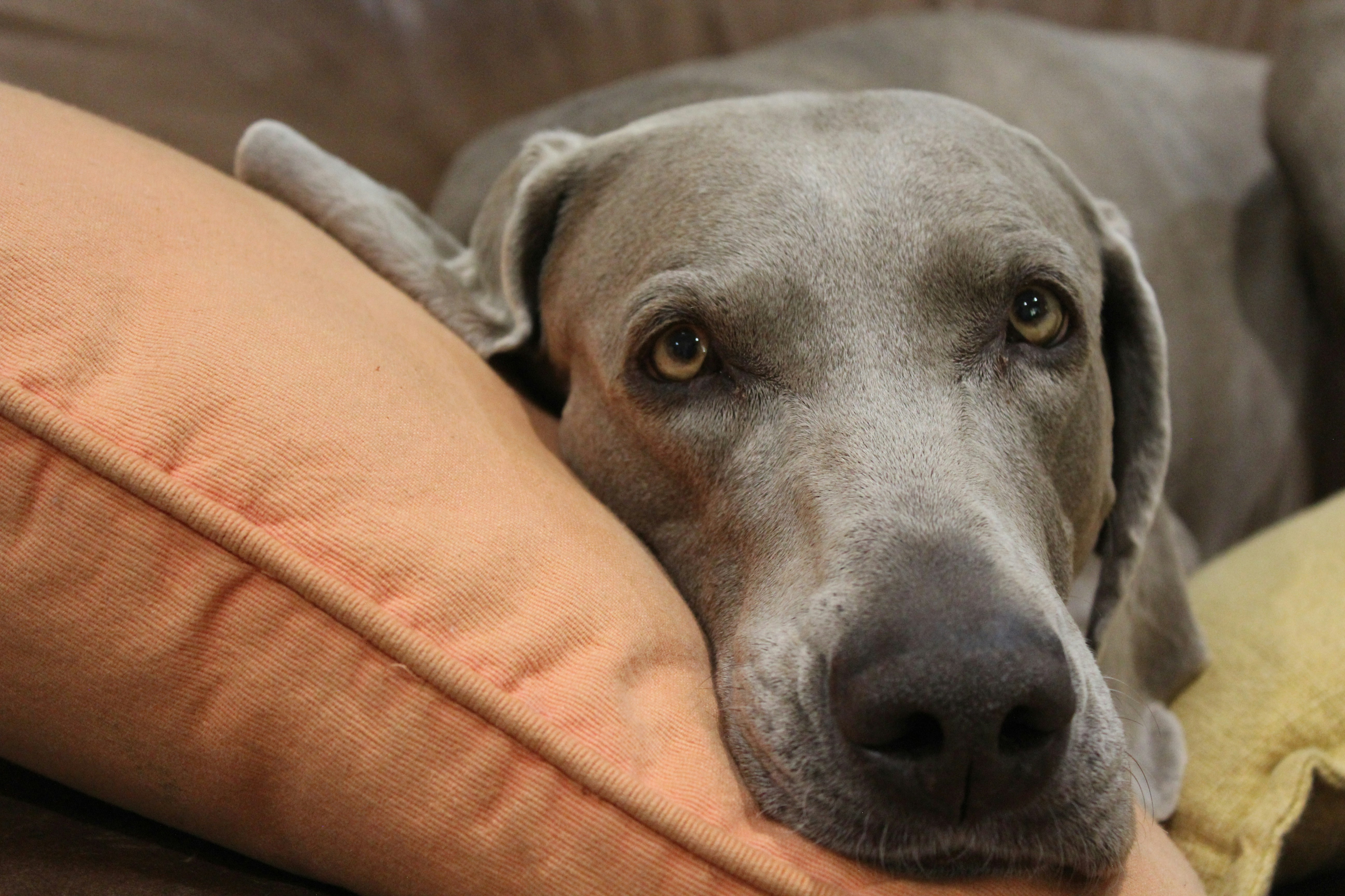 Photo by light_and_hope