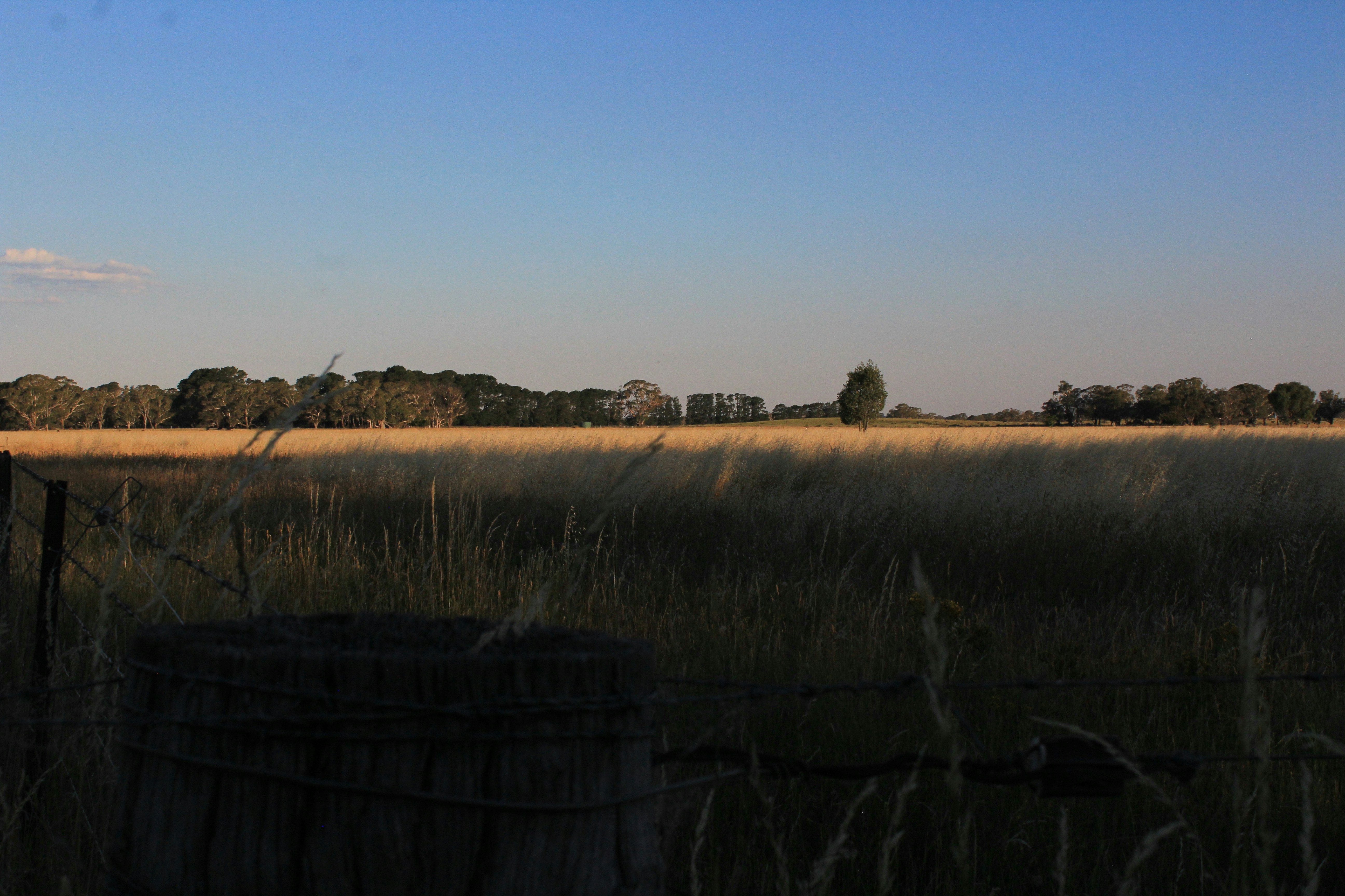 Photo by light_and_hope