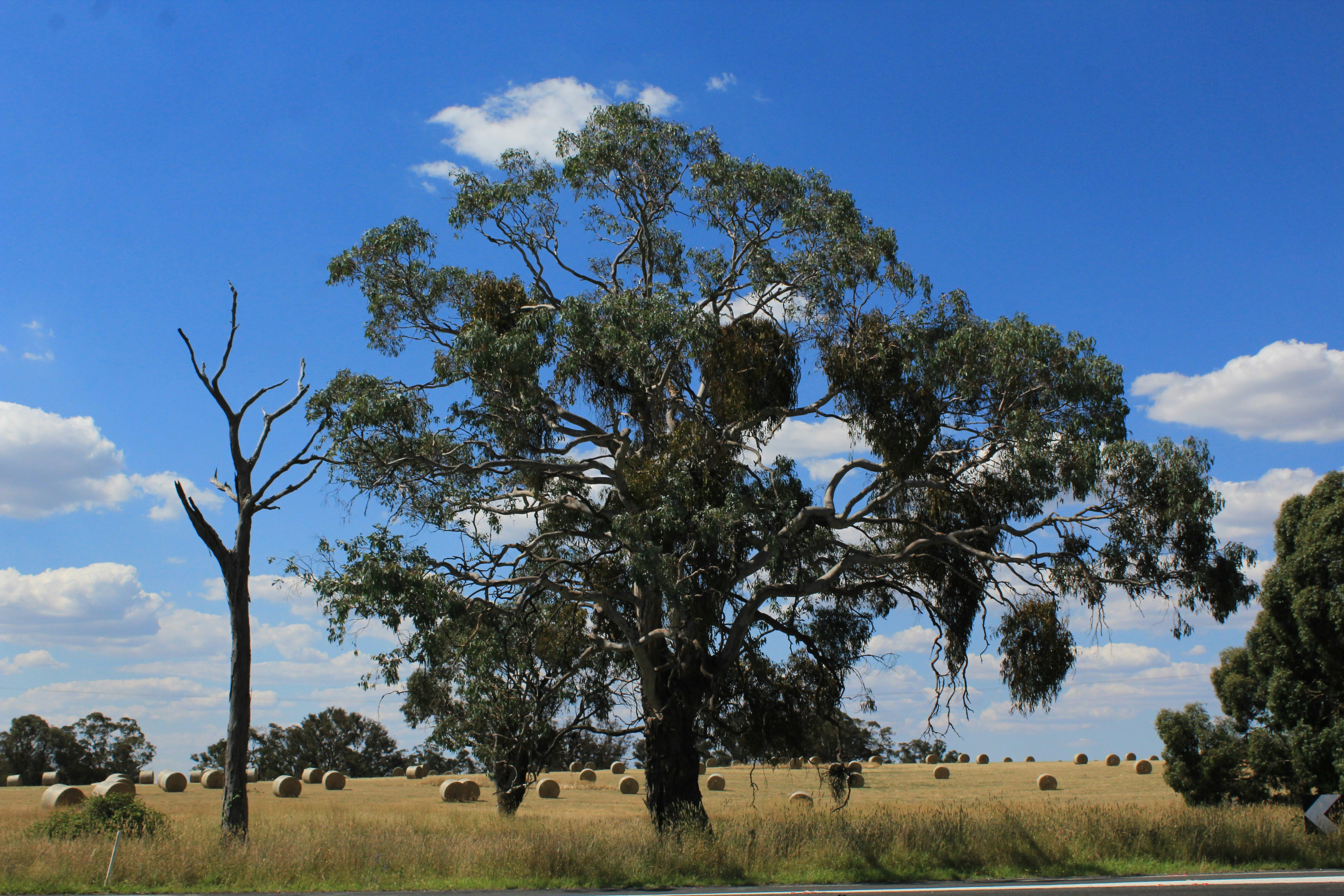 Photo by light_and_hope