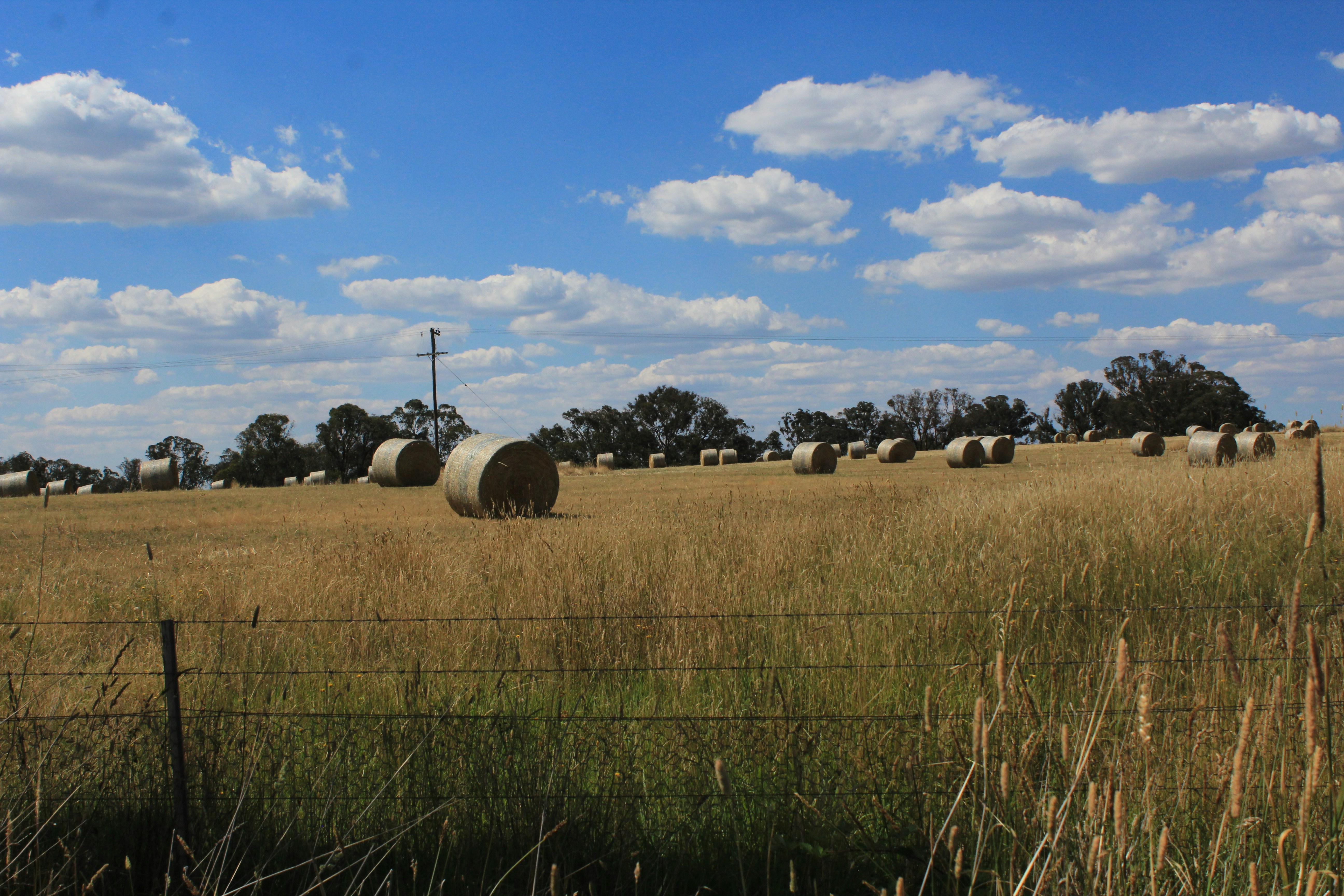 Photo by light_and_hope