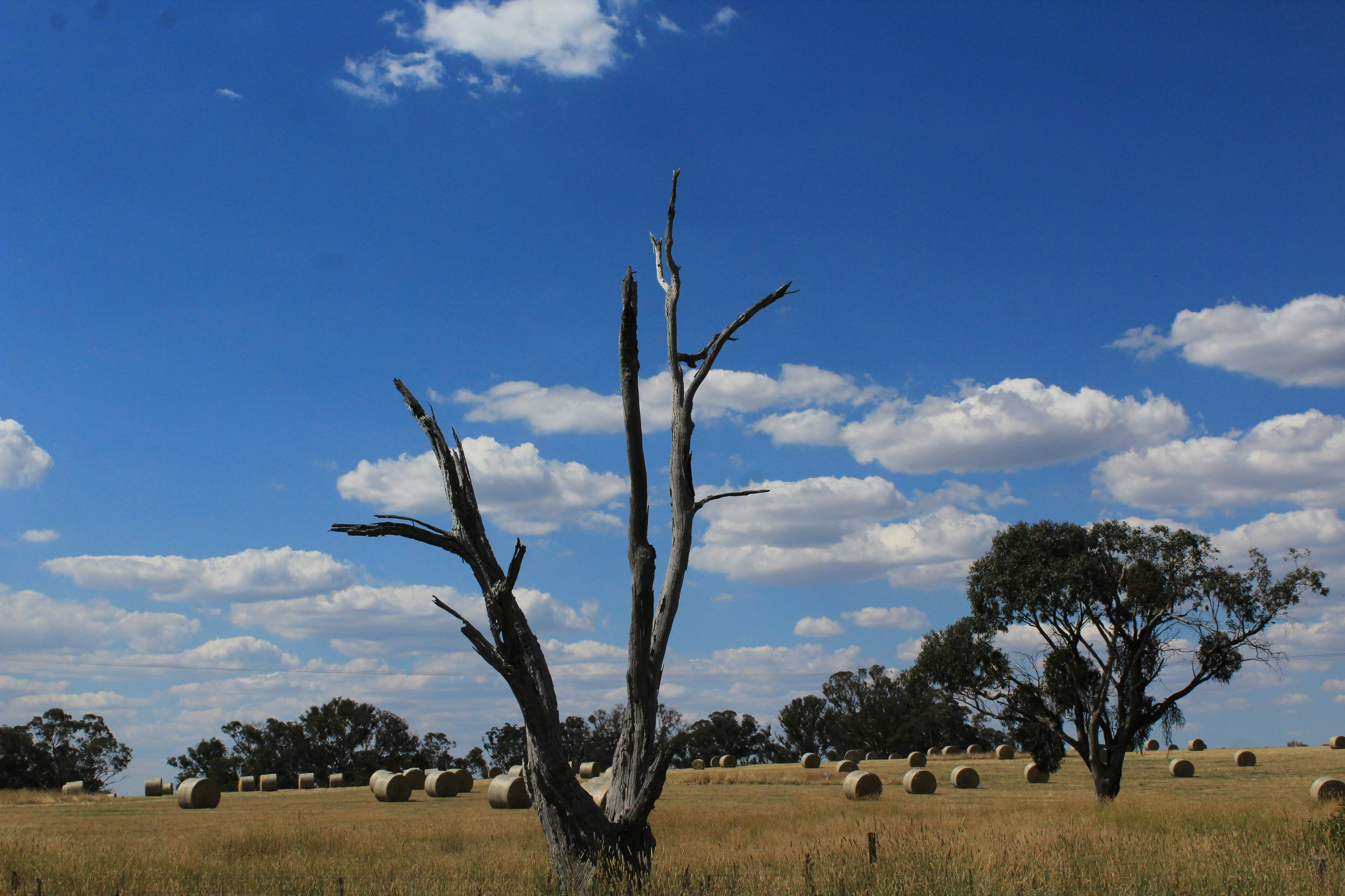 Photo by light_and_hope