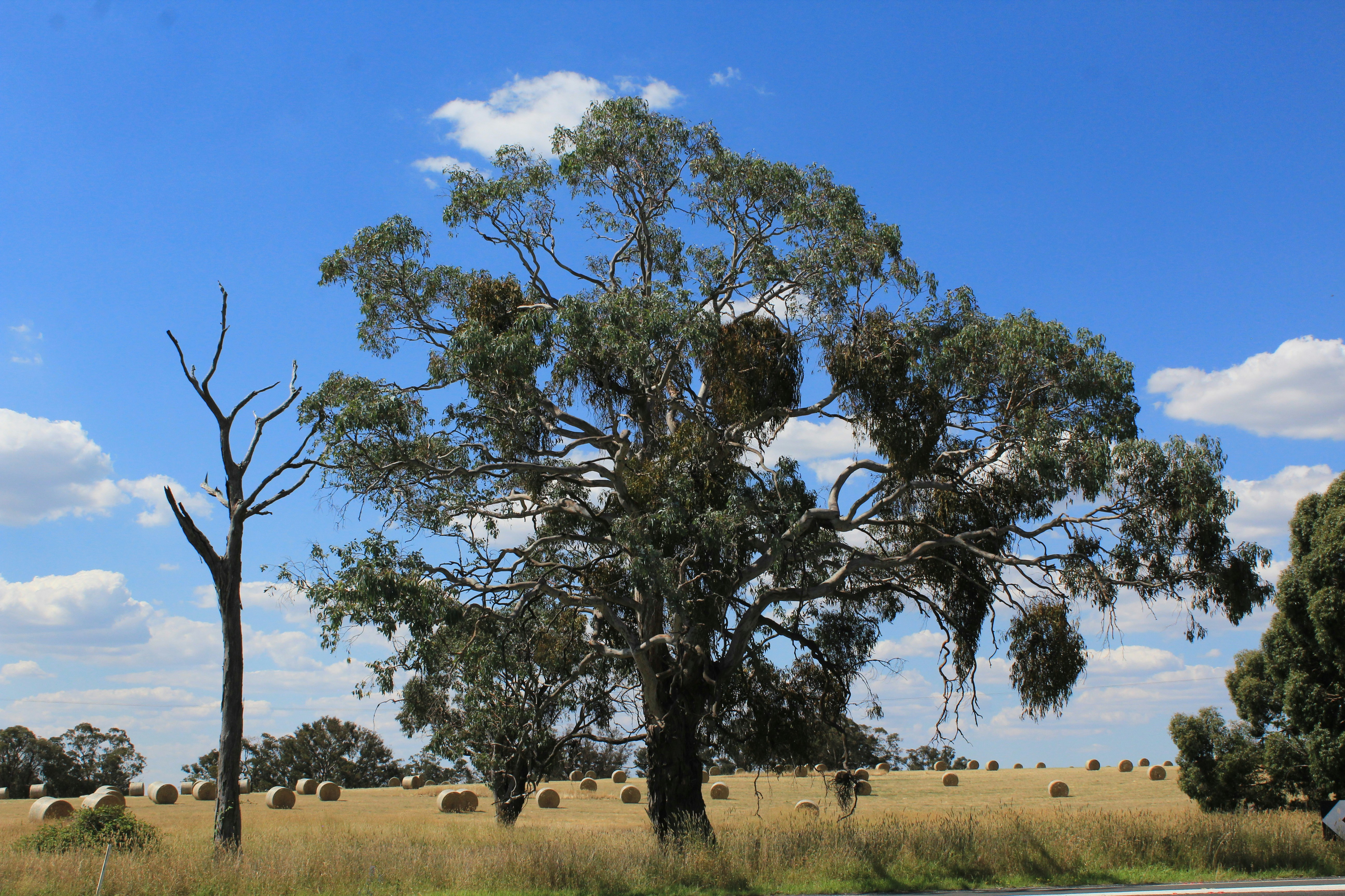 Photo by light_and_hope