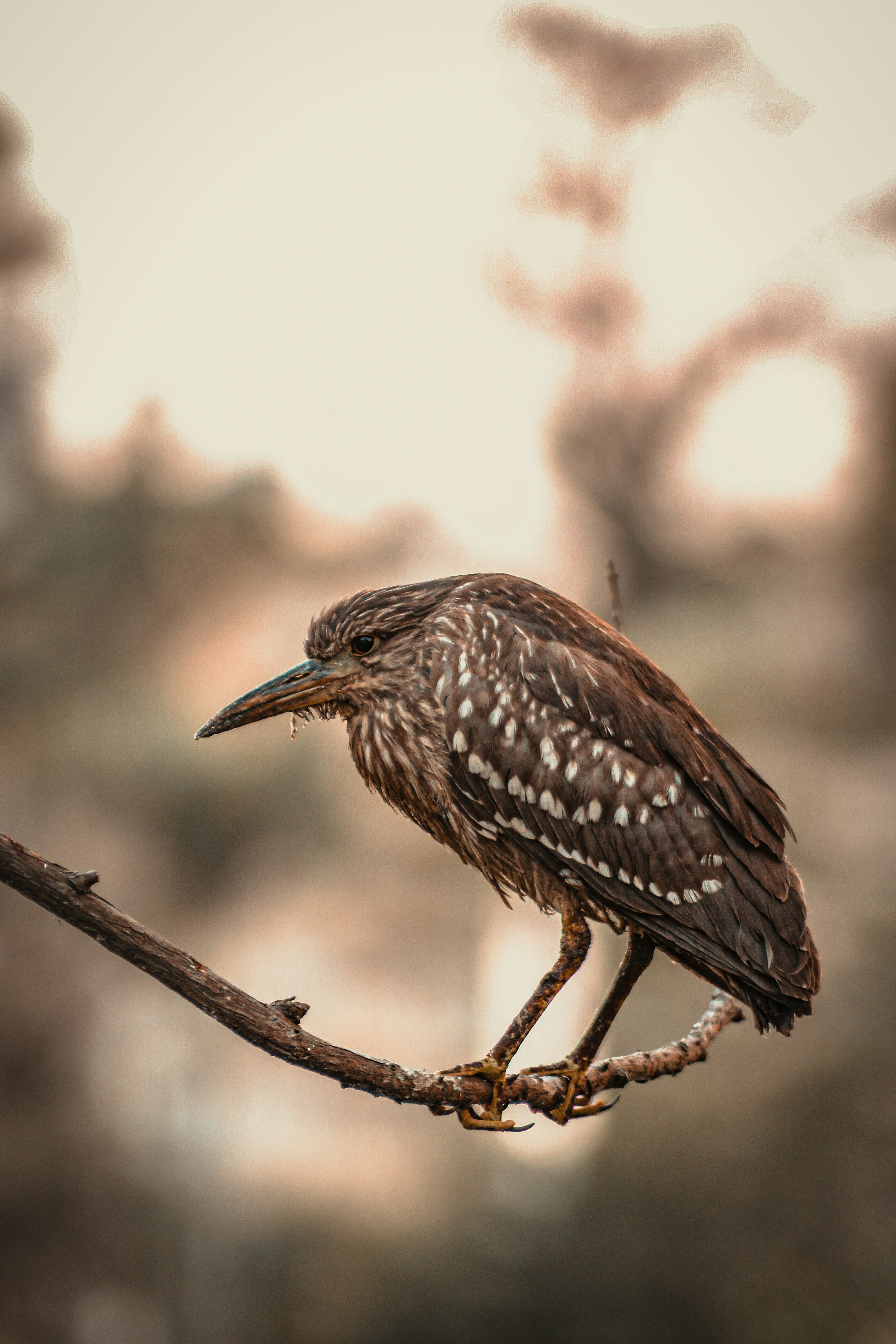 Photo by babylynsantos78