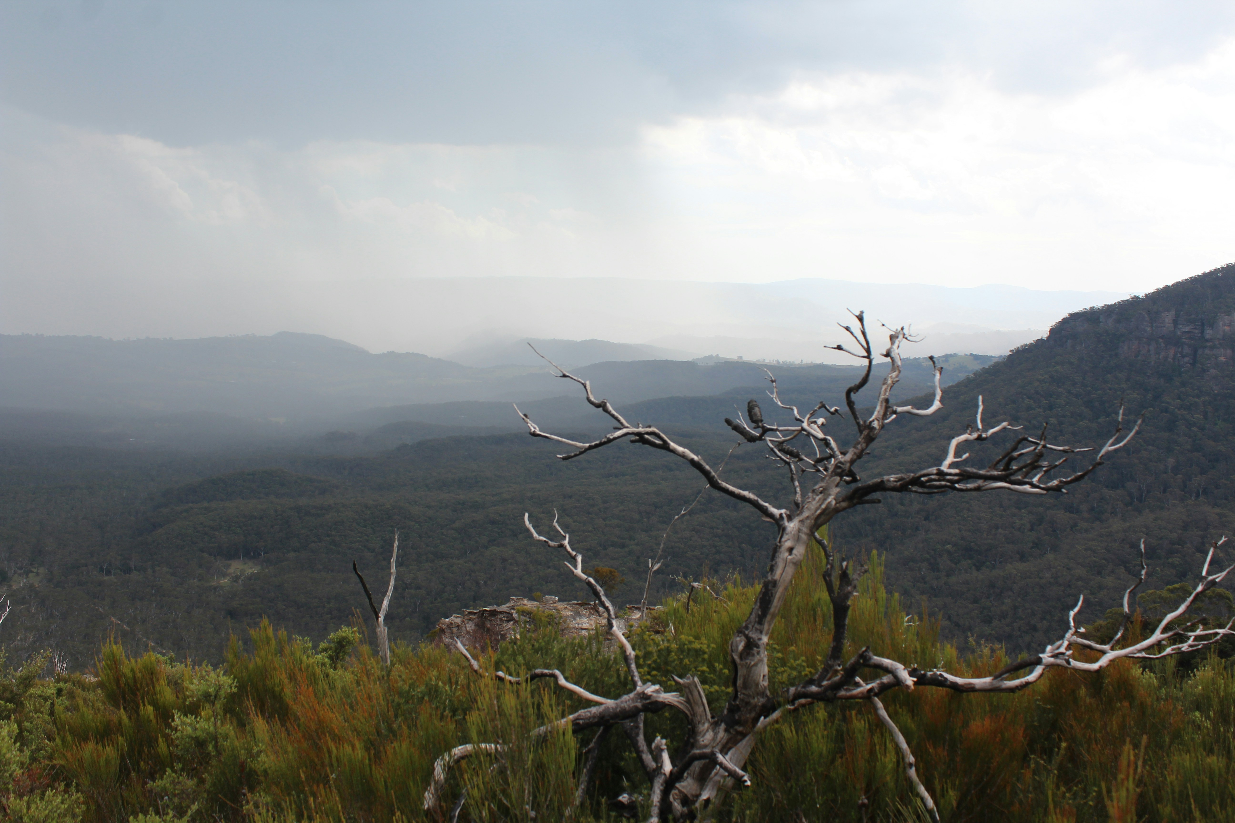 Photo by light_and_hope