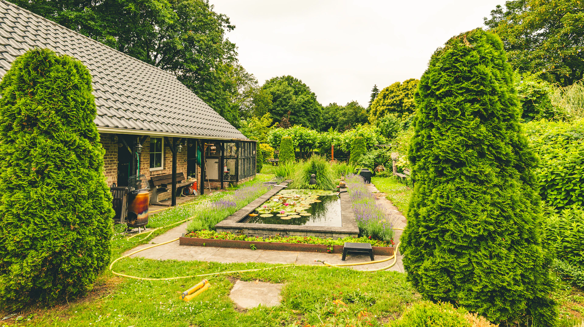 A lush green garden with a pond and house