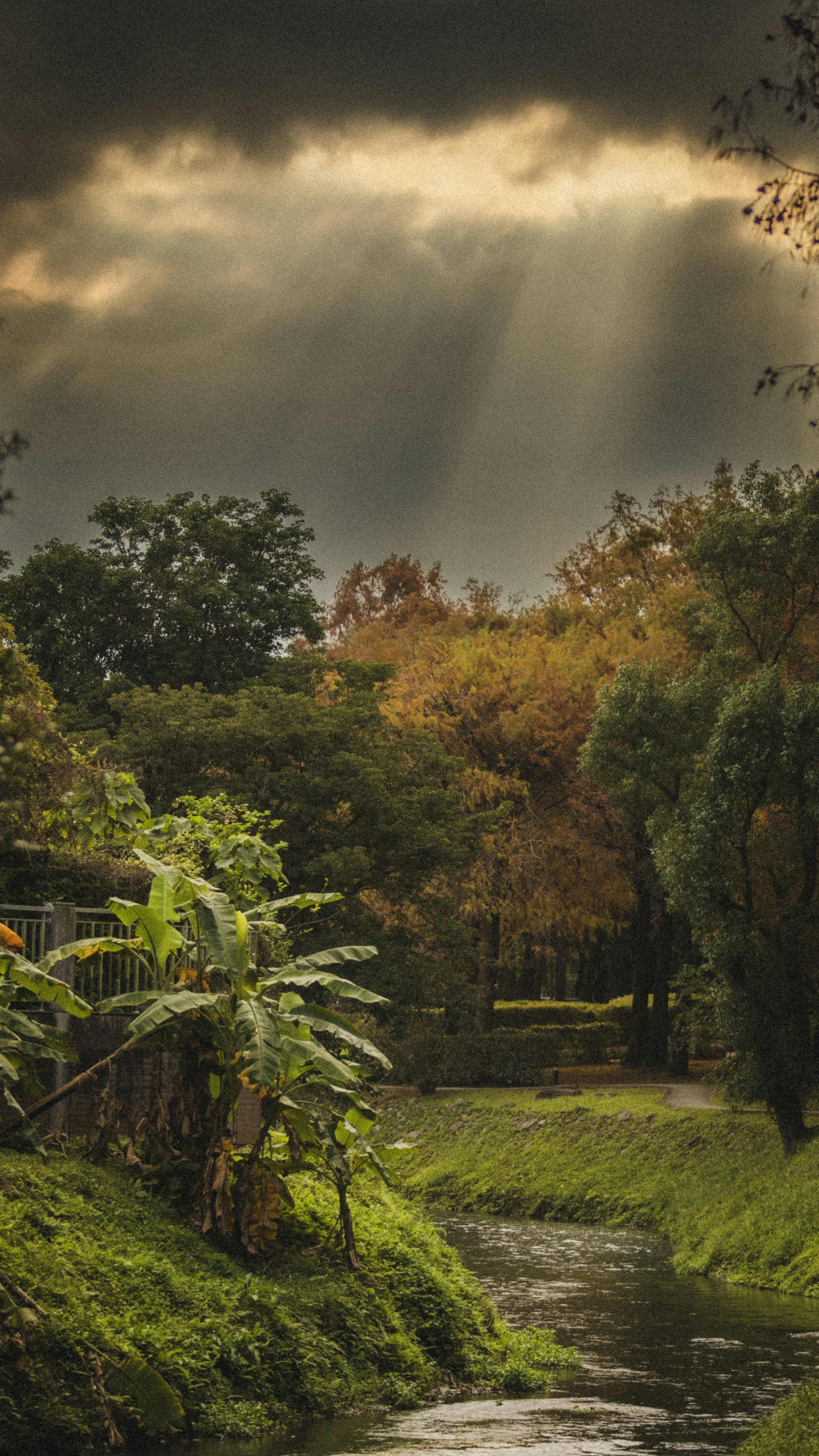 Sunbeams pierce through dramatic clouds over a lush forest stream.
