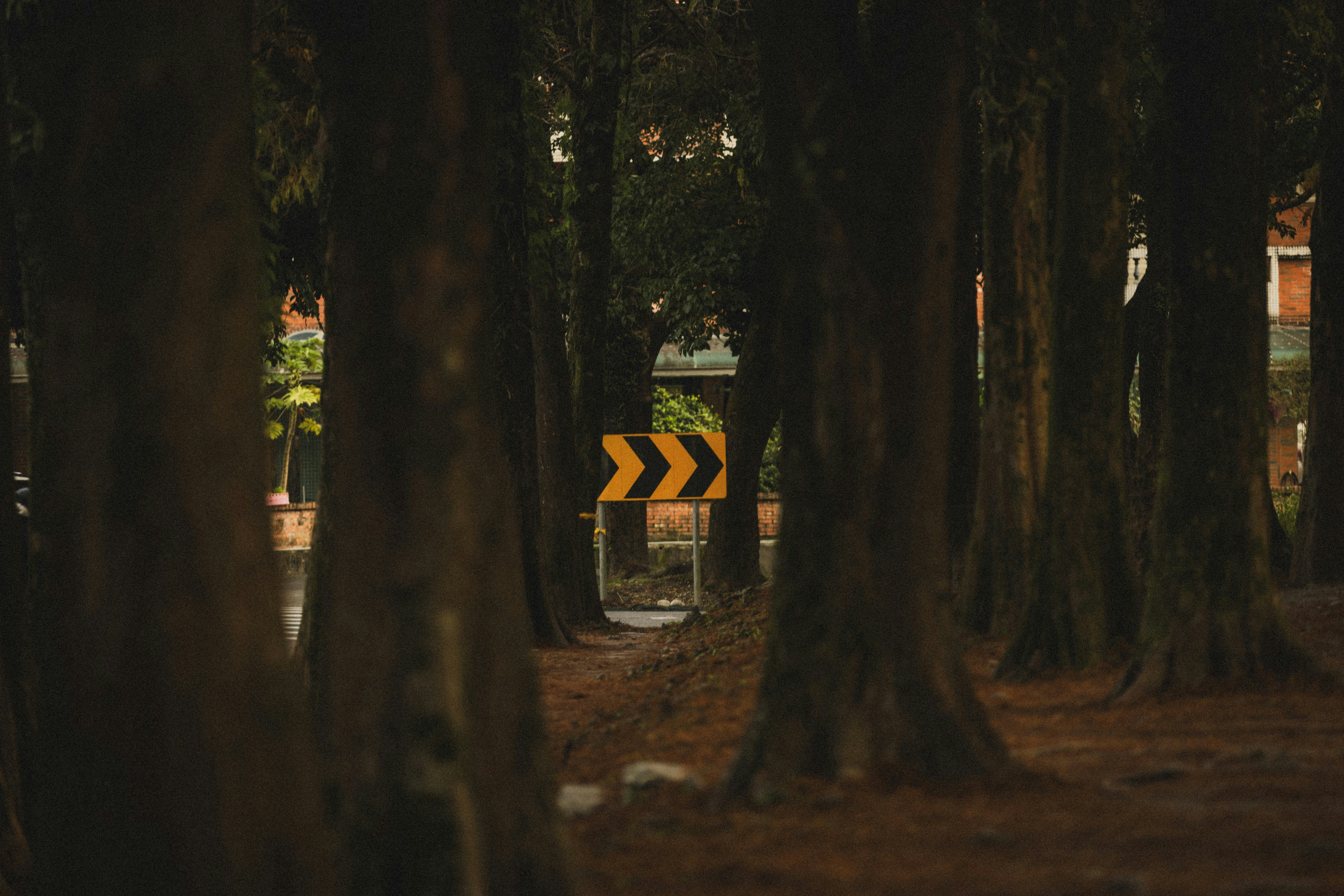 Yellow chevron sign between dark trees
