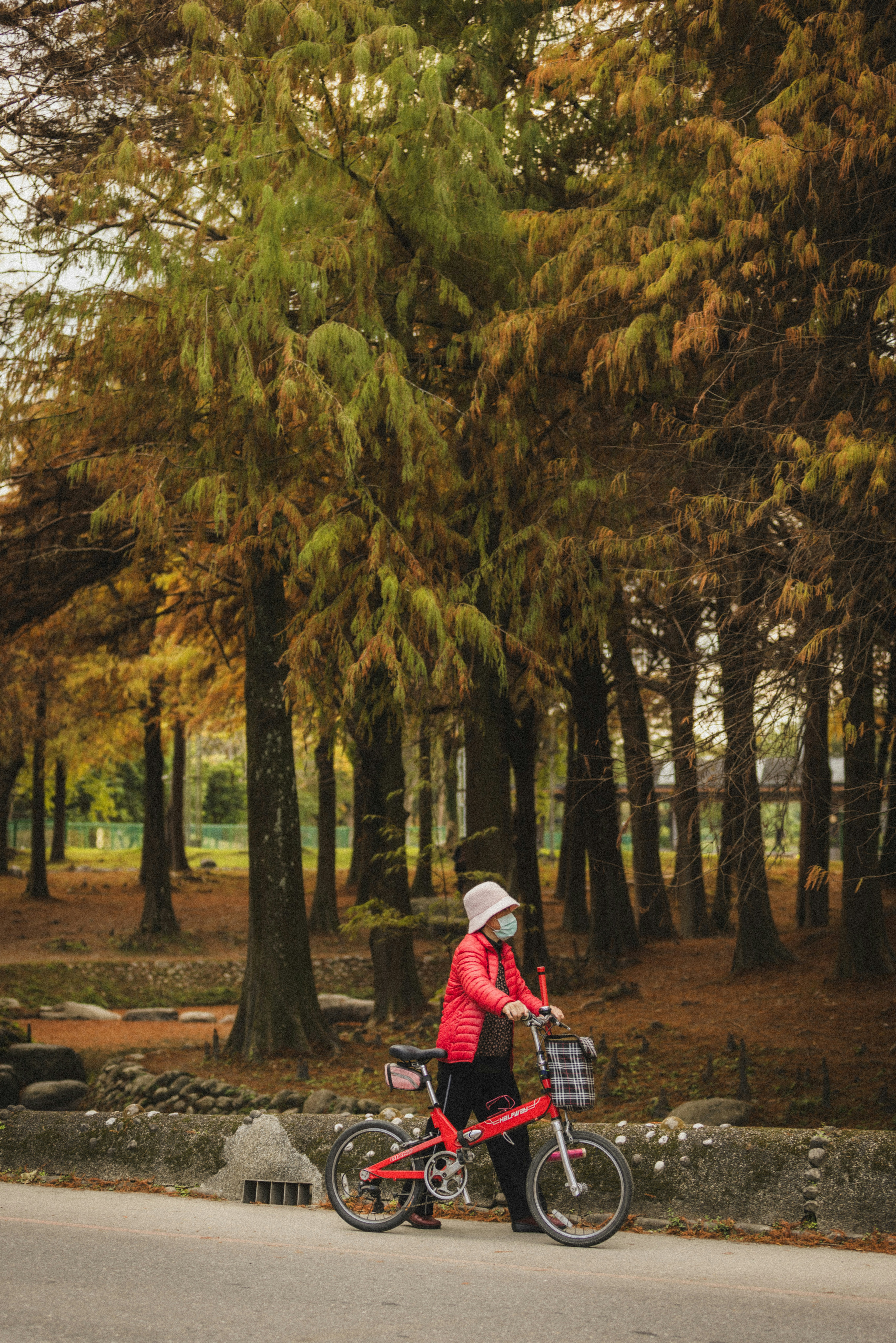 Woman in red jacket with bicycle in autumn forest