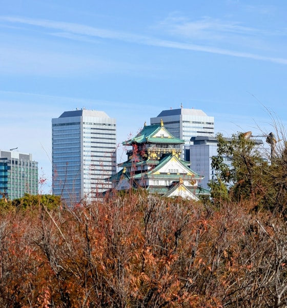 Osaka Marathon