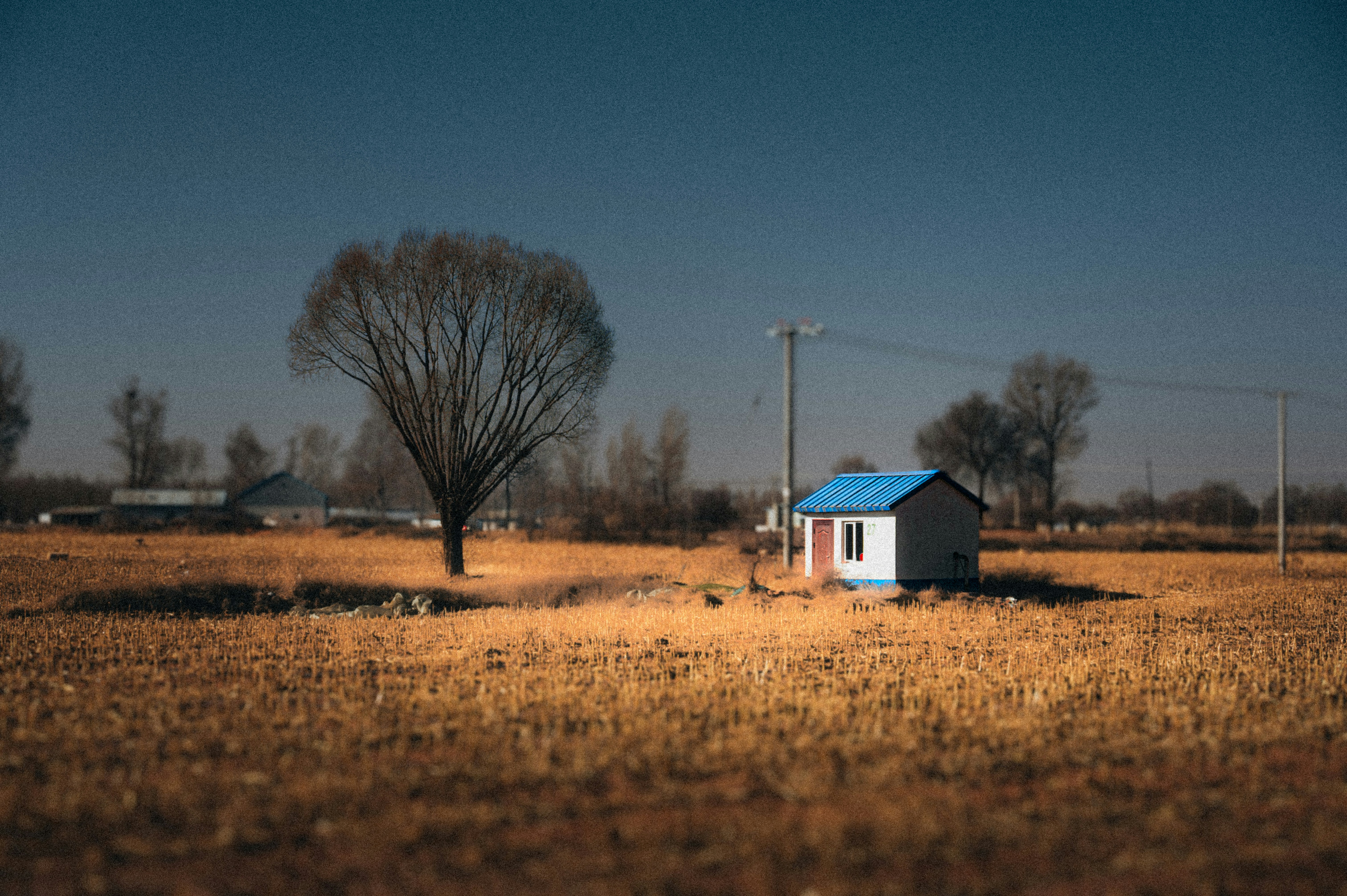 Photo by jeffwuphotograph