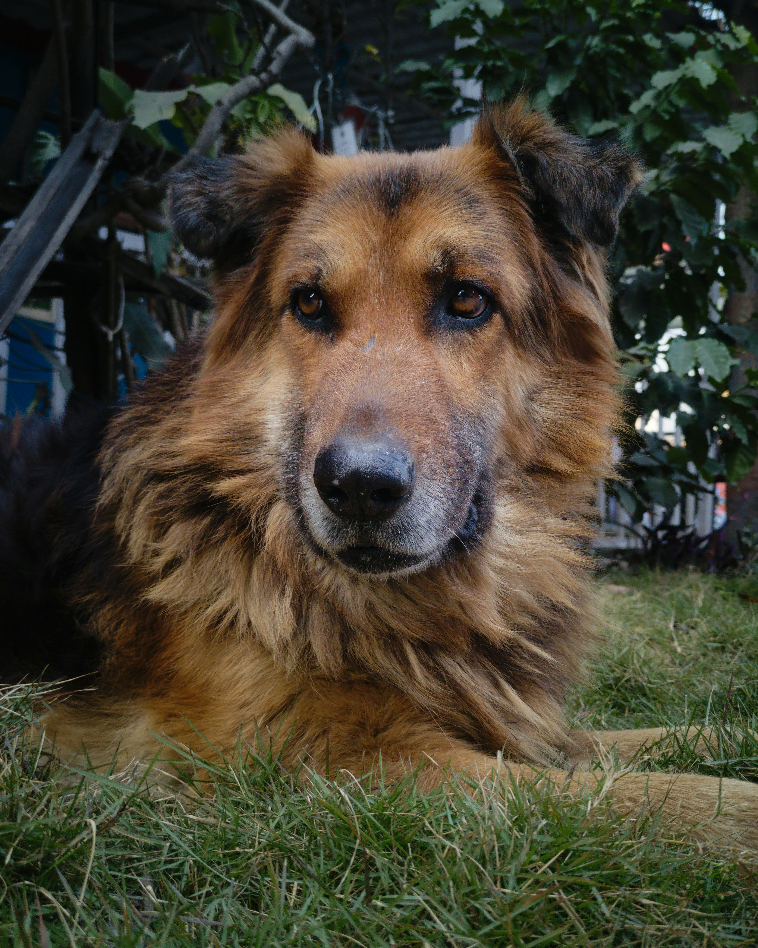 Photo by bhattarai17