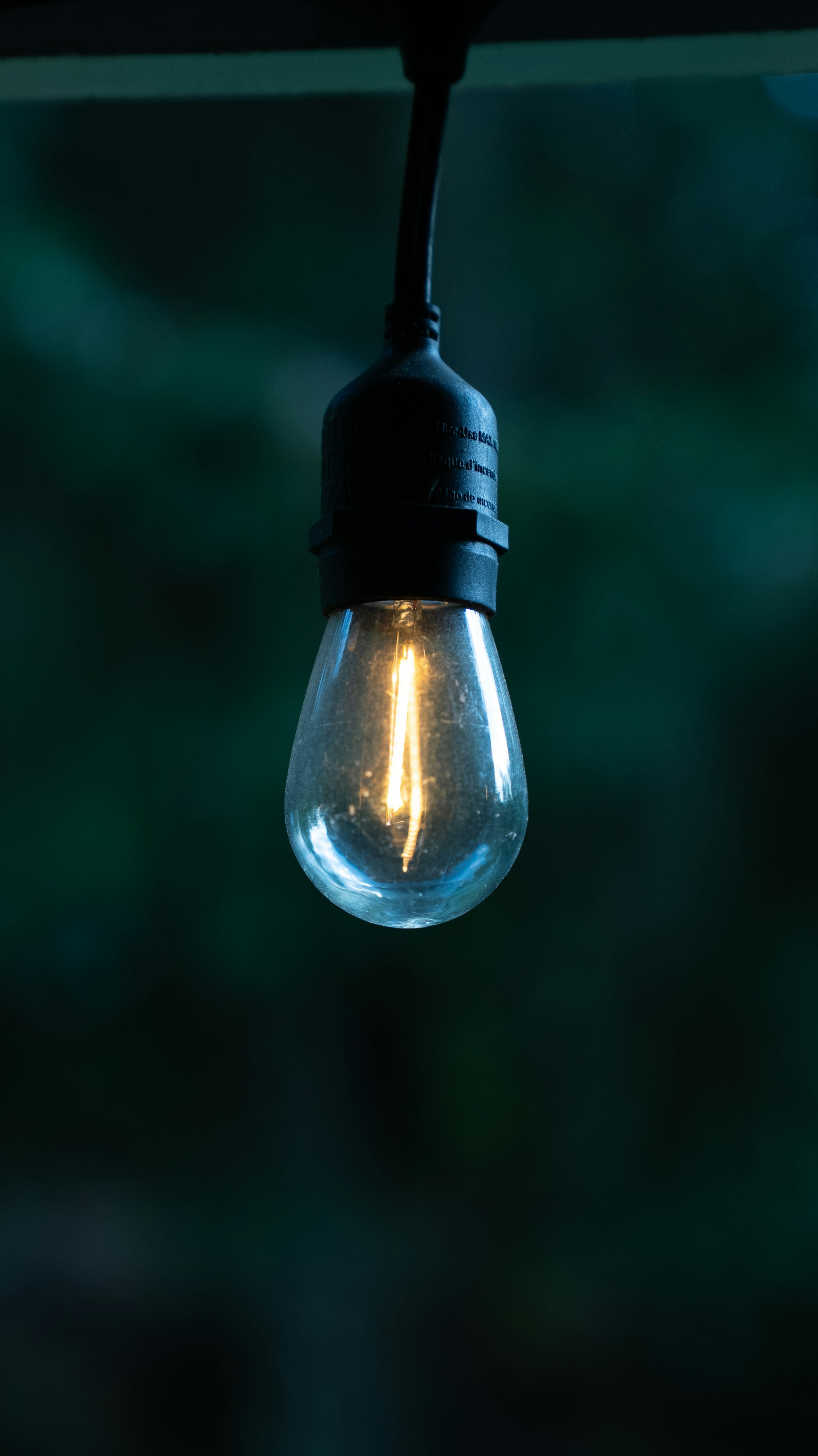 Photo by itscgabriel