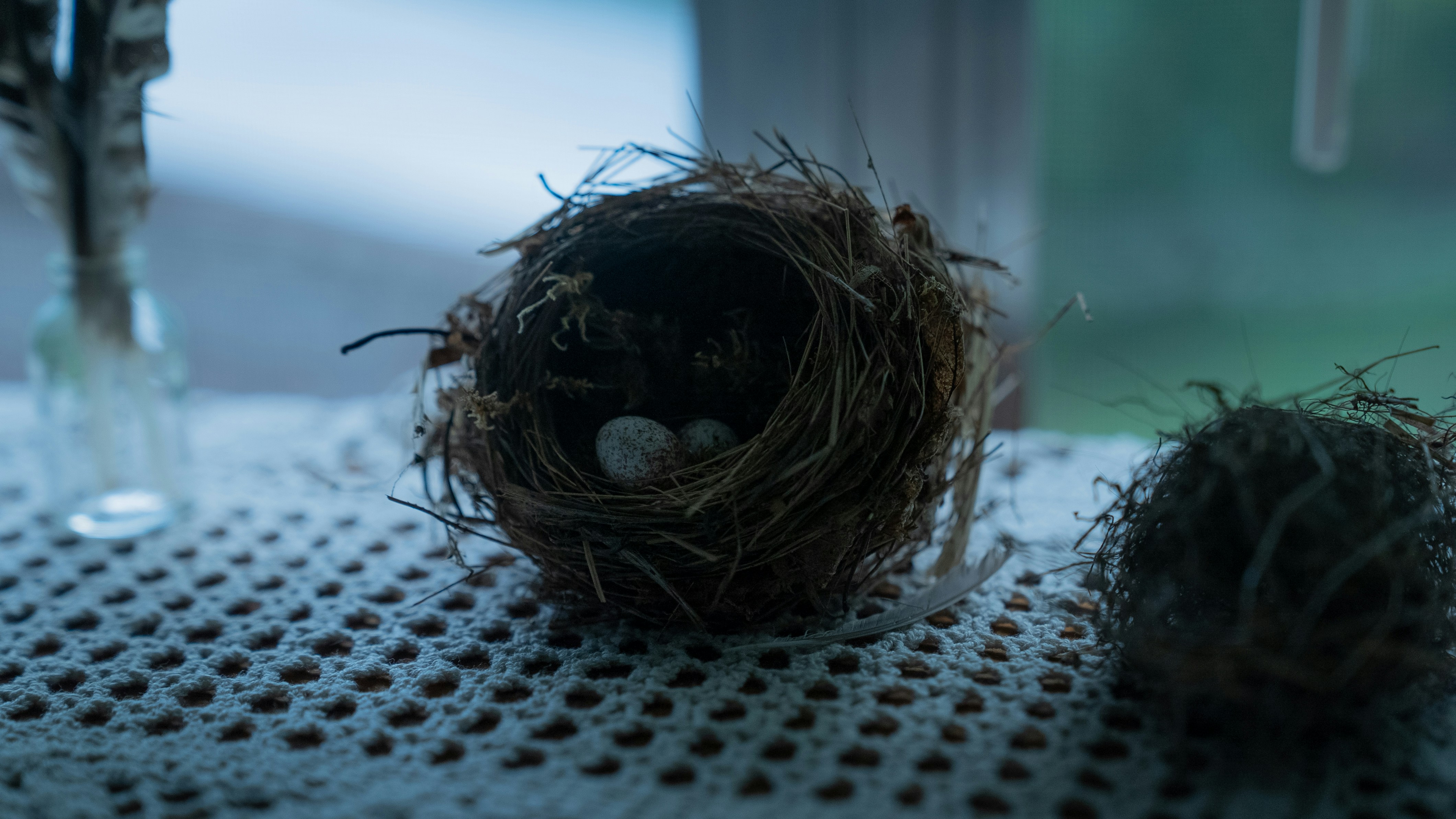Bird's nest with eggs on a windowsill