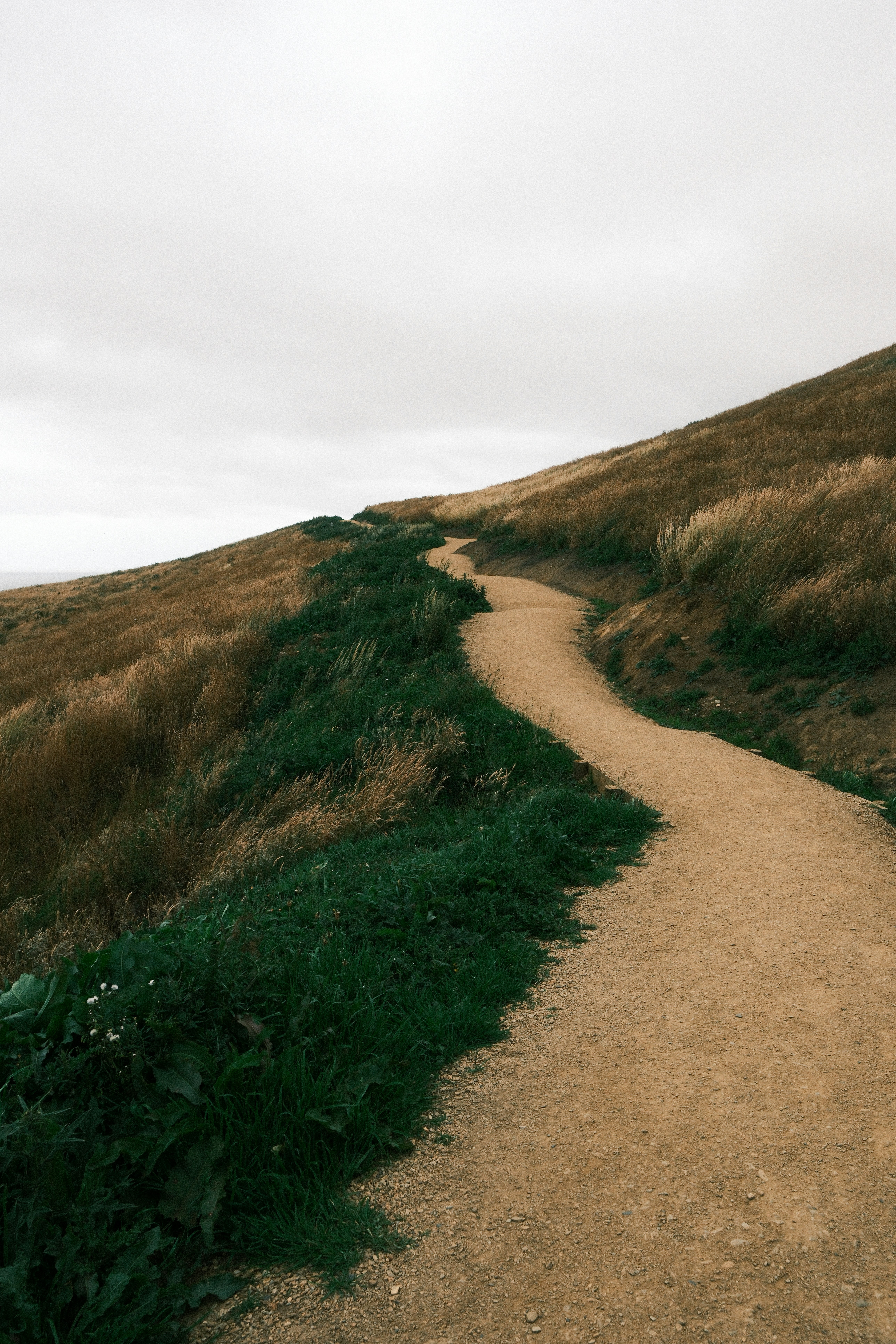 Photo by ginkgoshutter