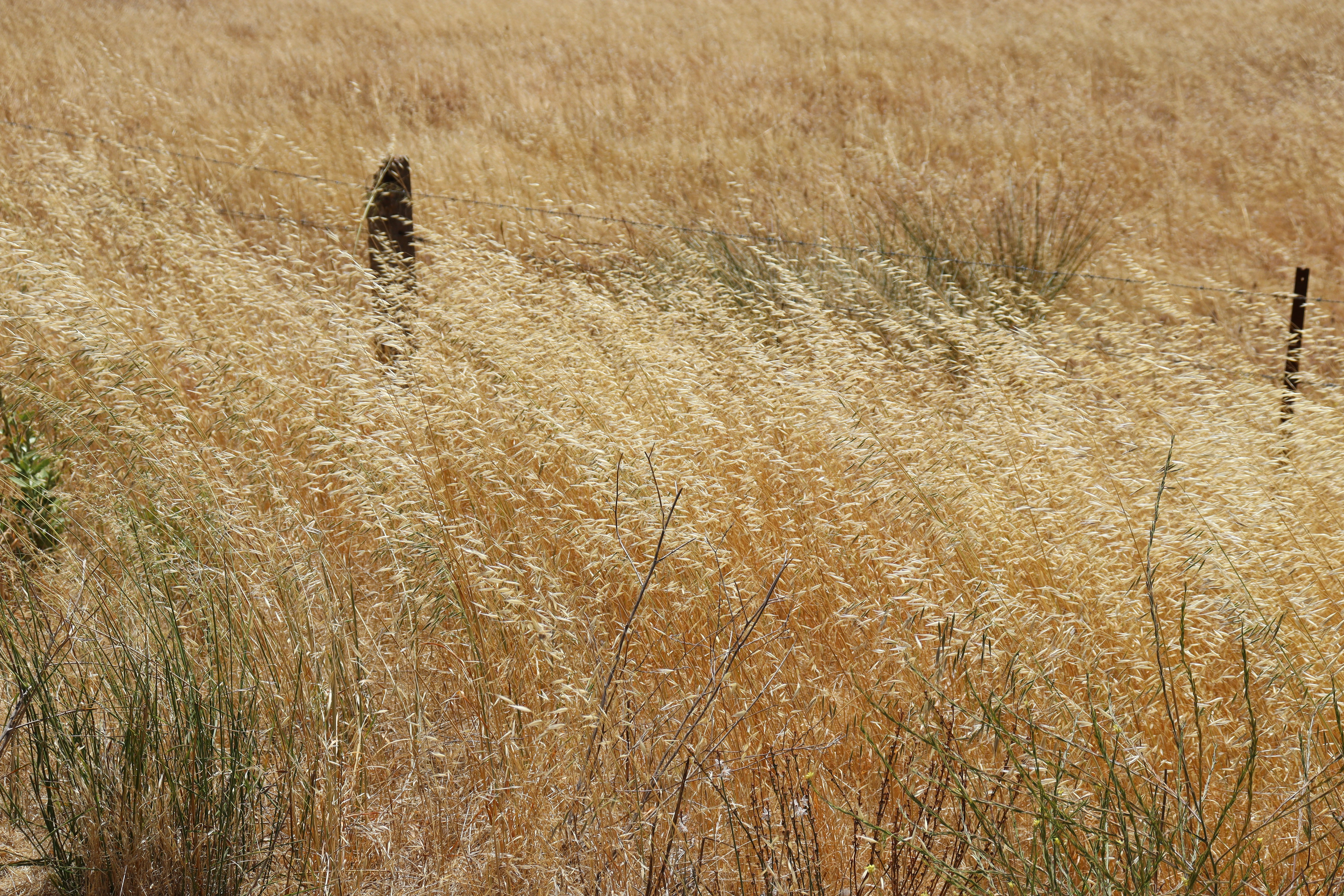 Photo by craigmanners_com