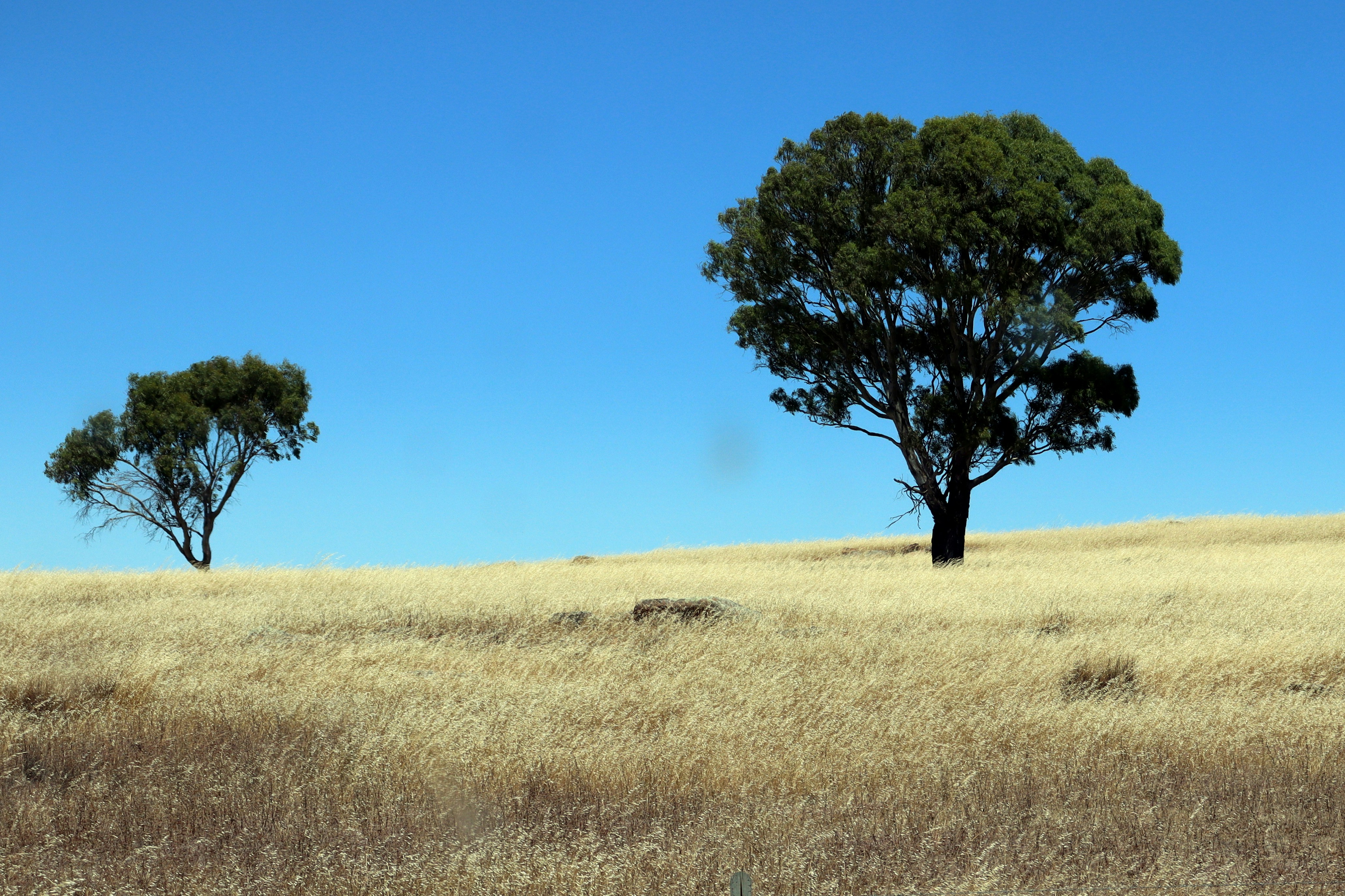 Photo by craigmanners_com