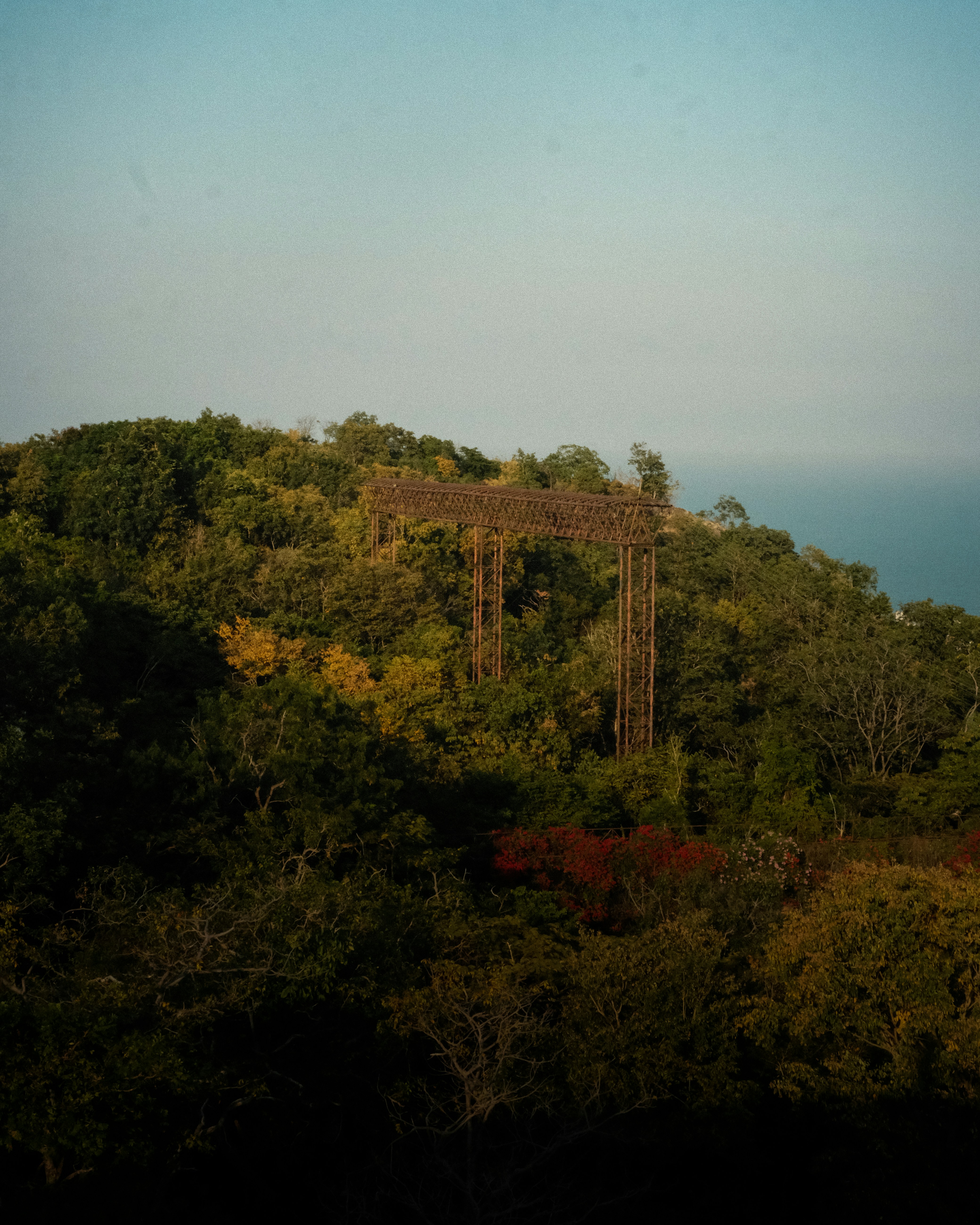 industry transformation