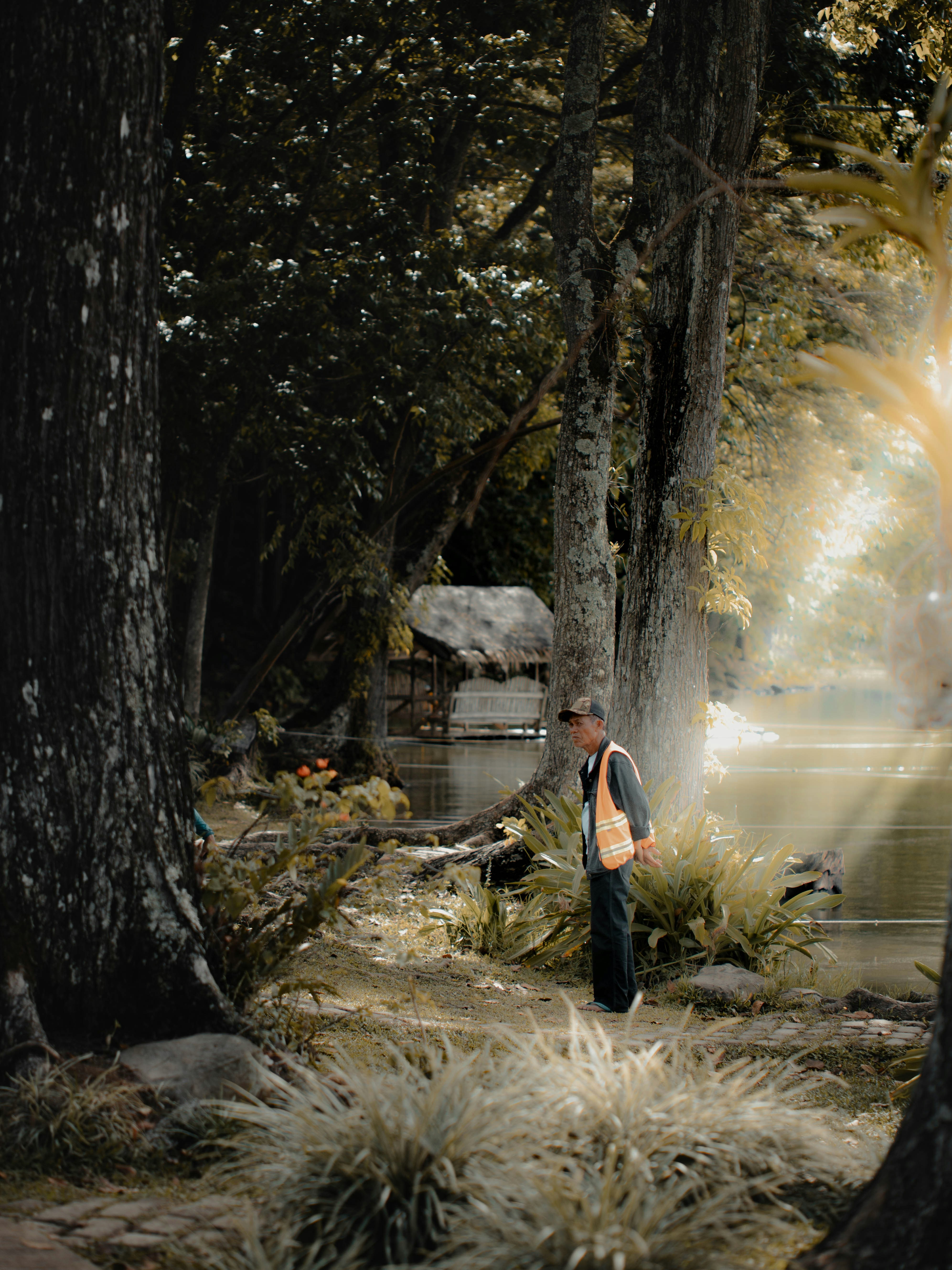 Man standing by a tranquil lake in a forest