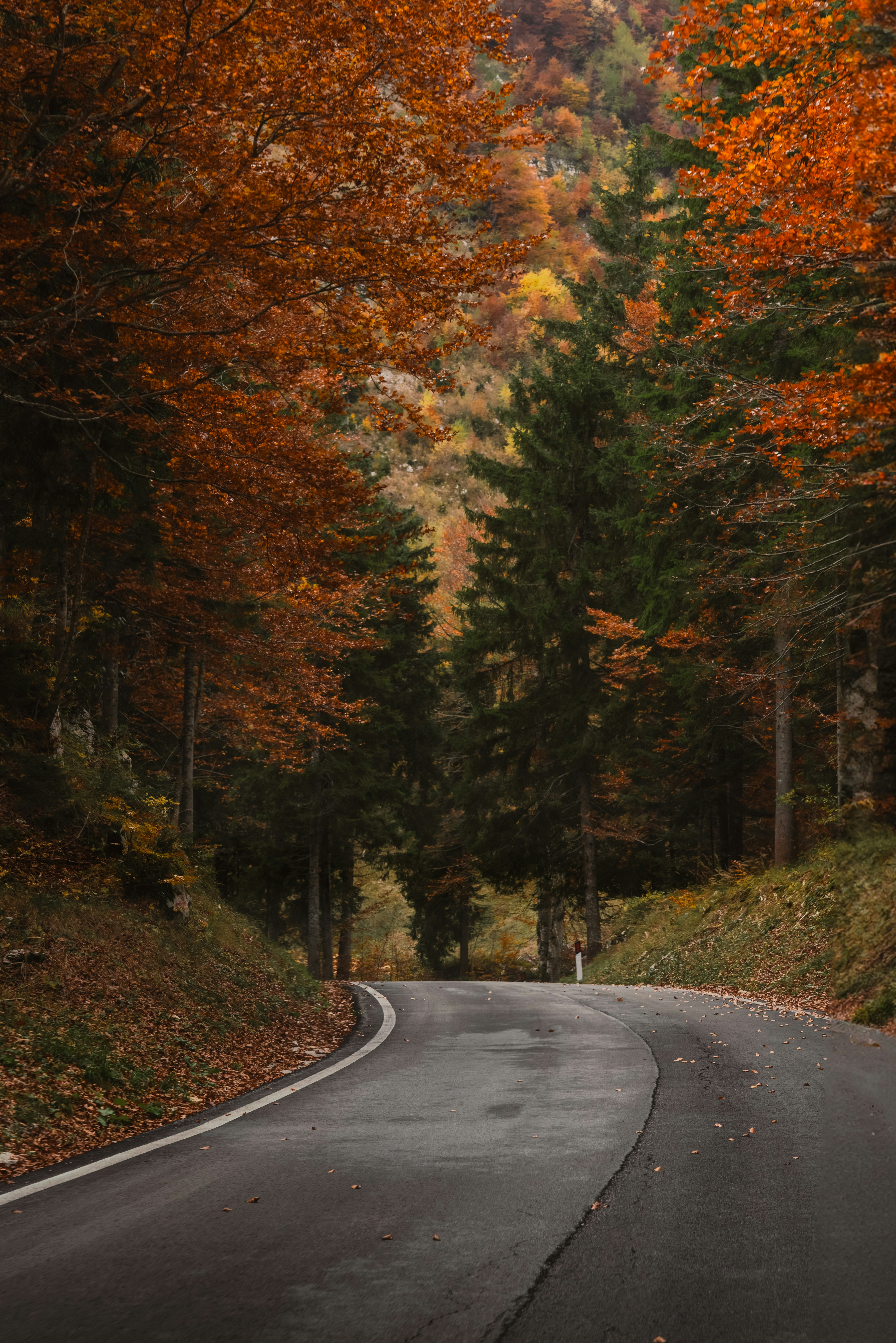 Photo by ahmetyuksek