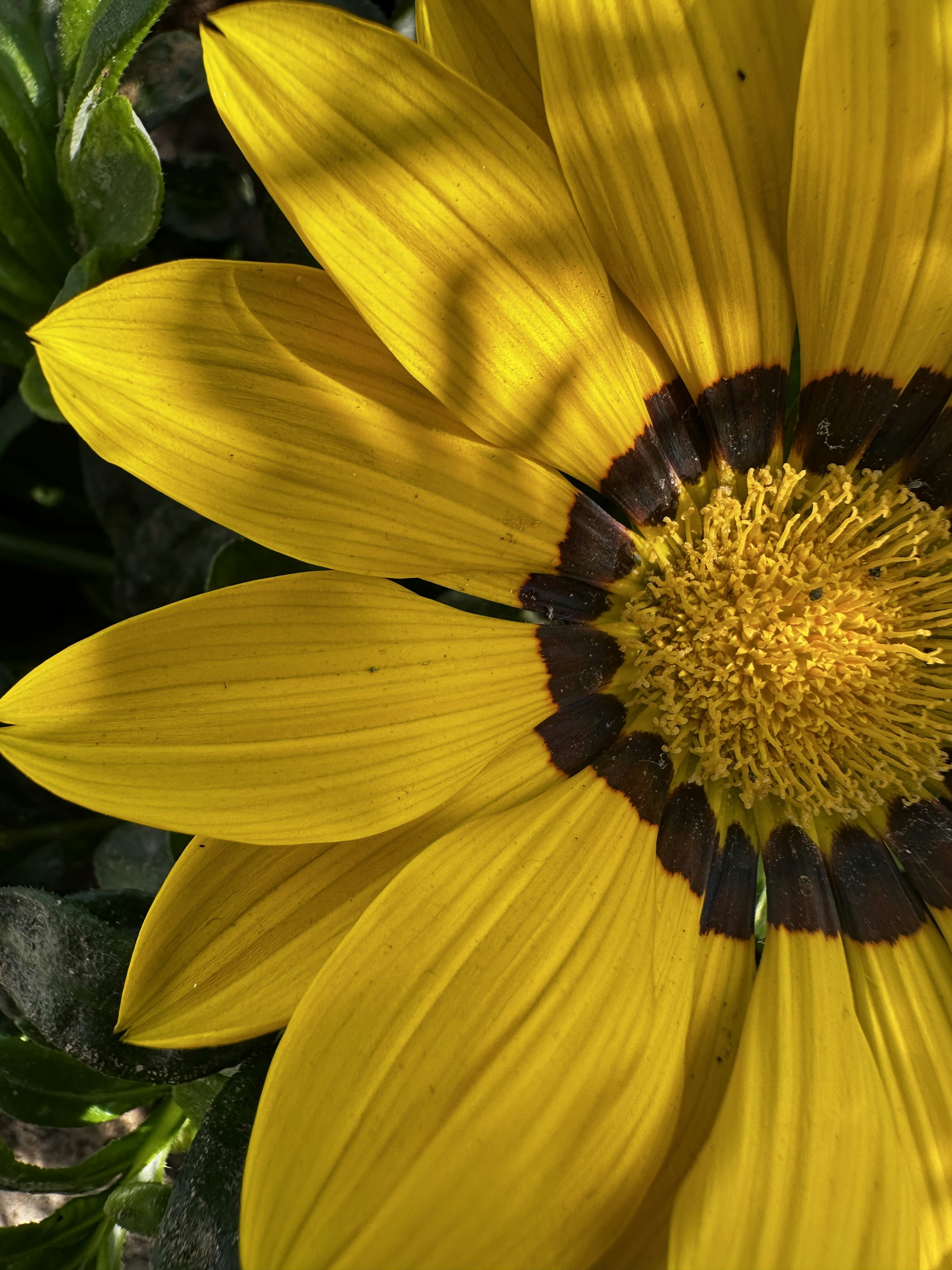 Photo by neelakshi_singh_