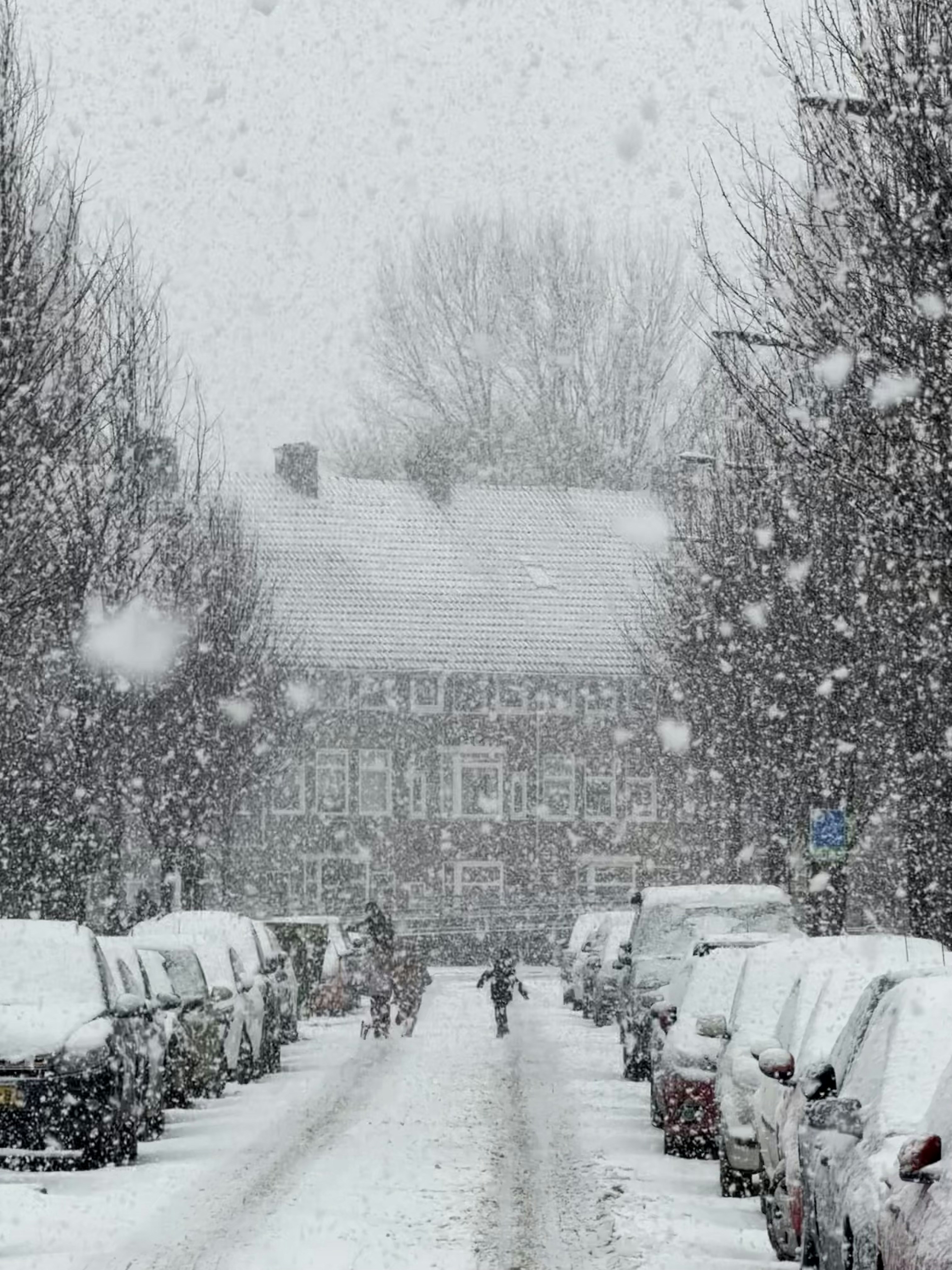 Photo by robin3051010