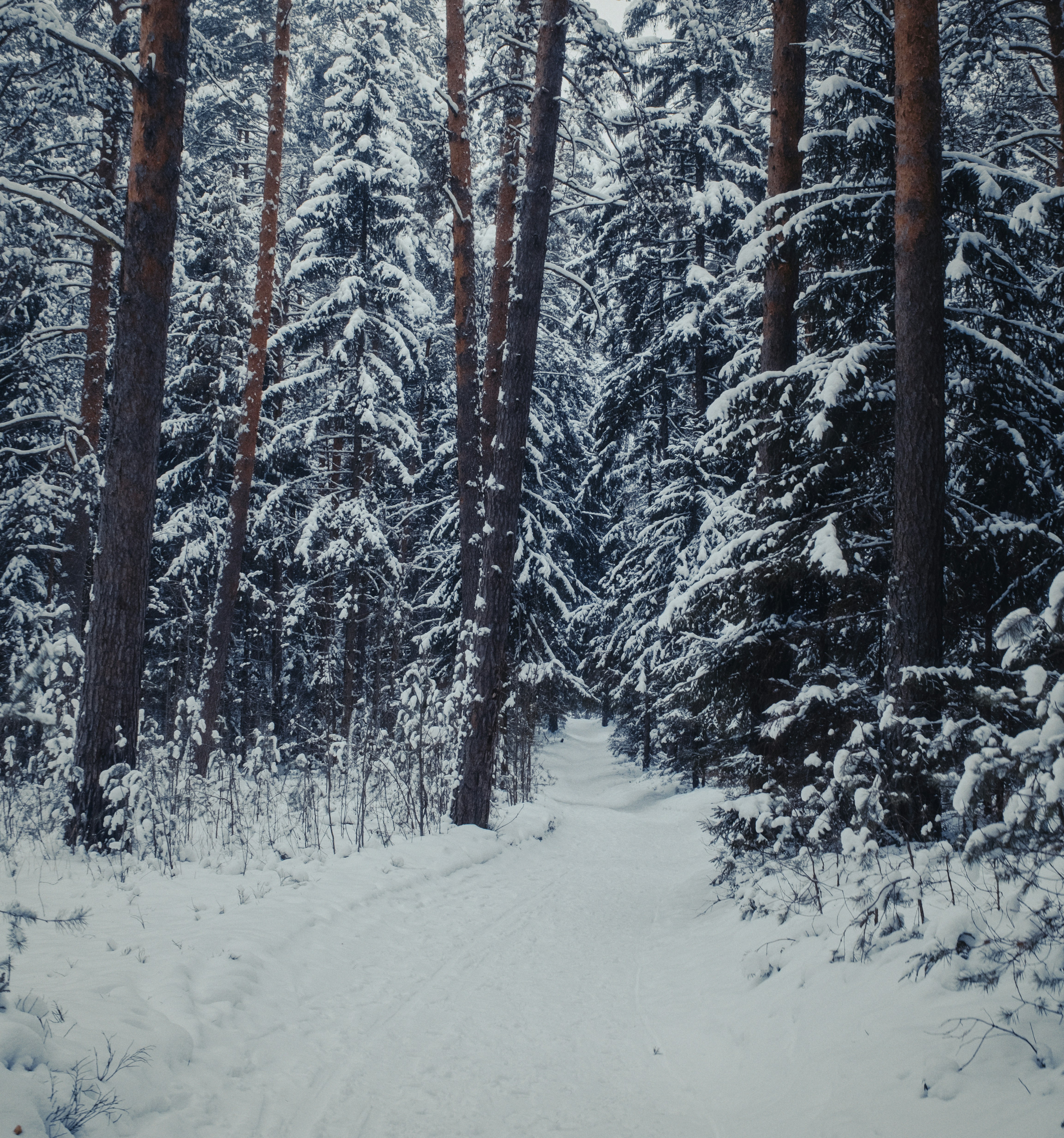 Photo by evil_bumblebee