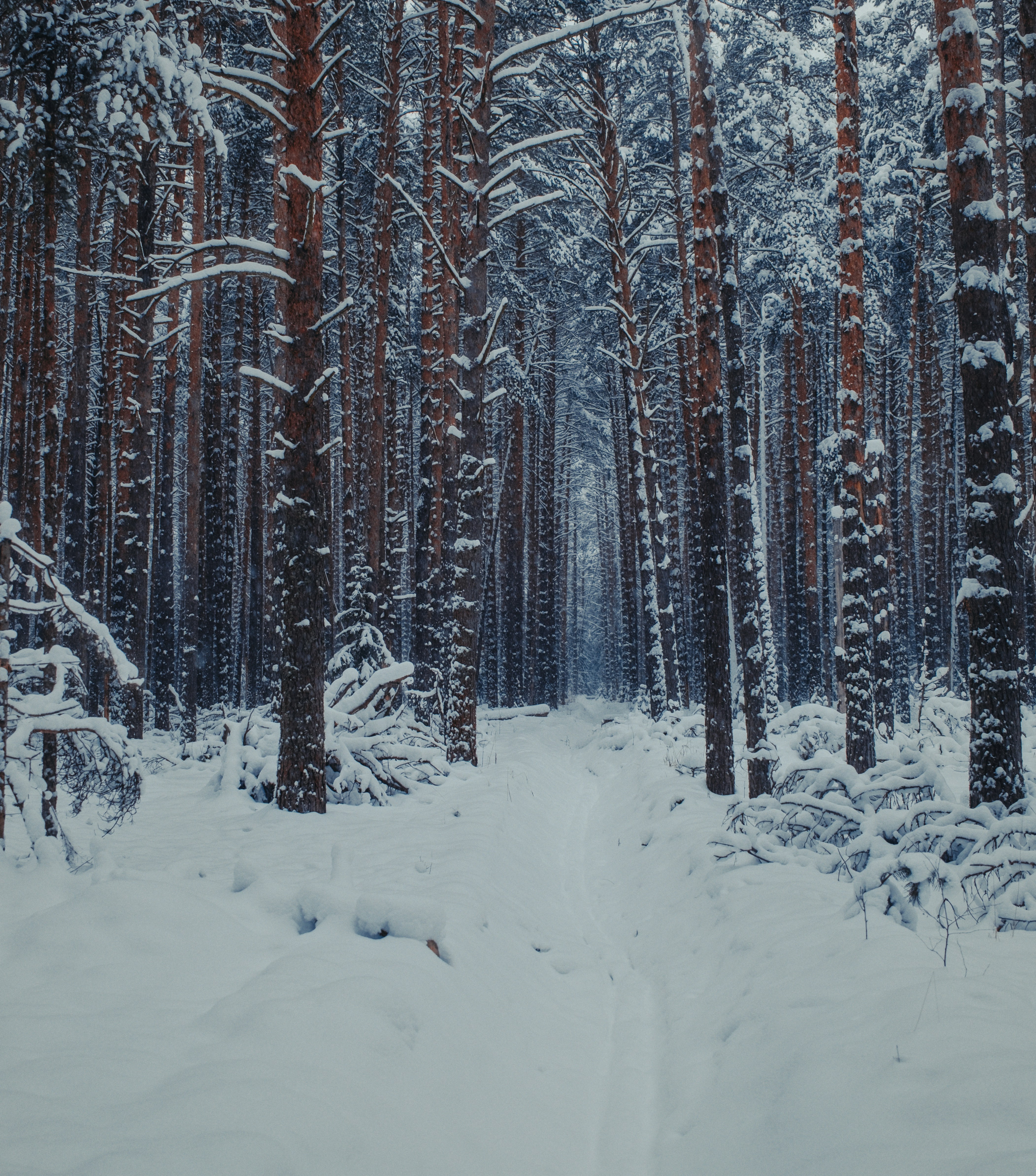 Photo by evil_bumblebee