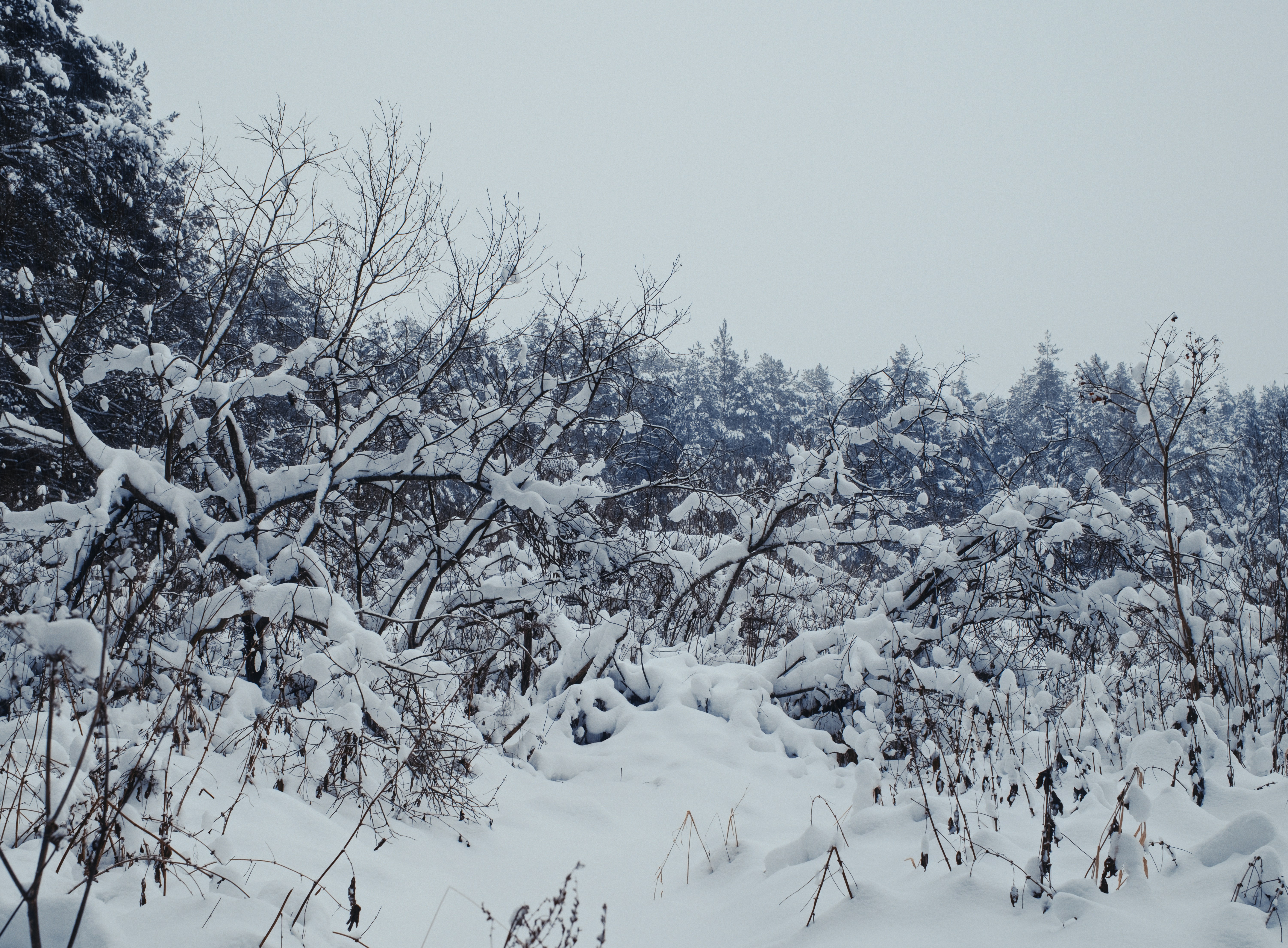 Photo by evil_bumblebee