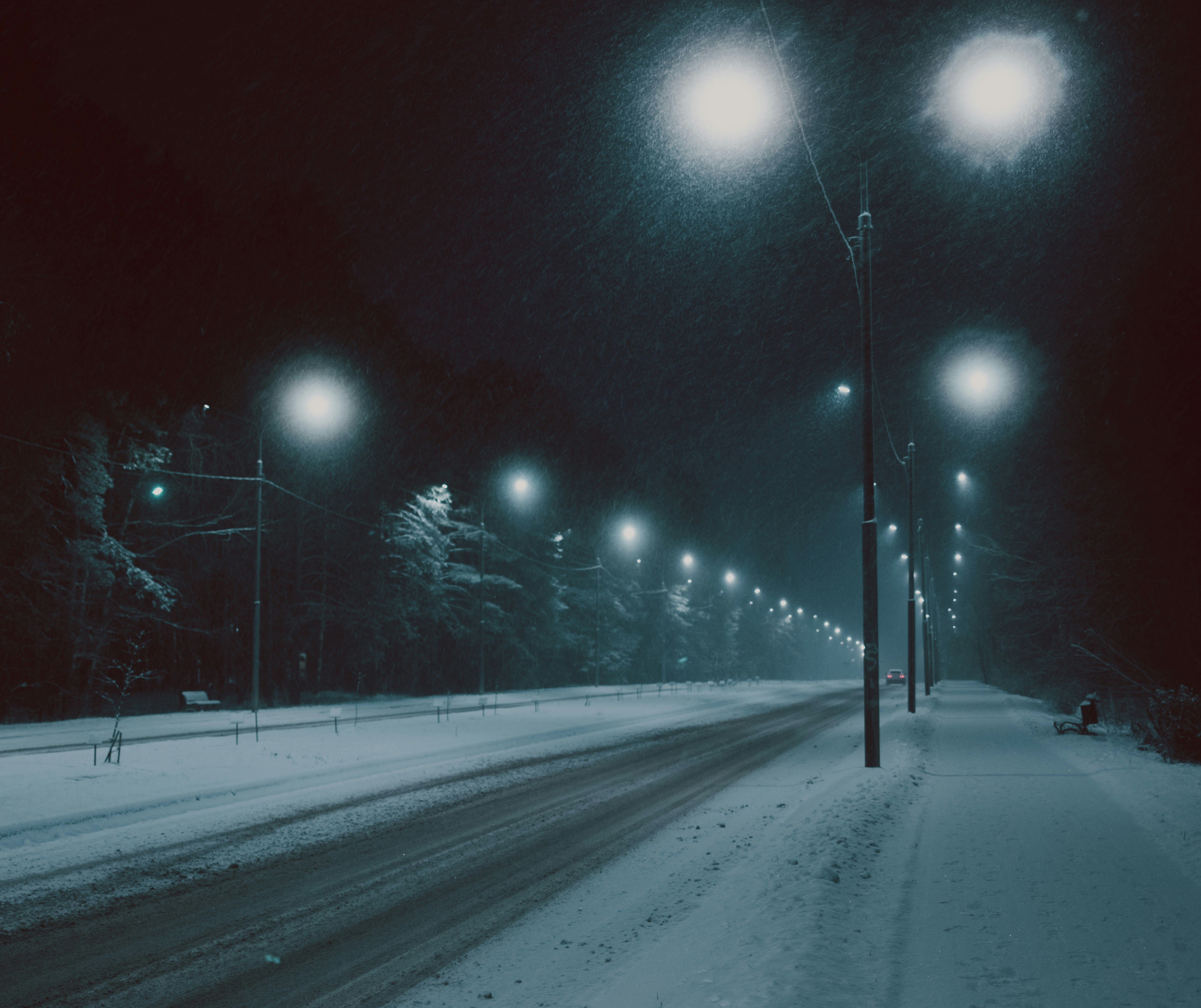 Photo by evil_bumblebee