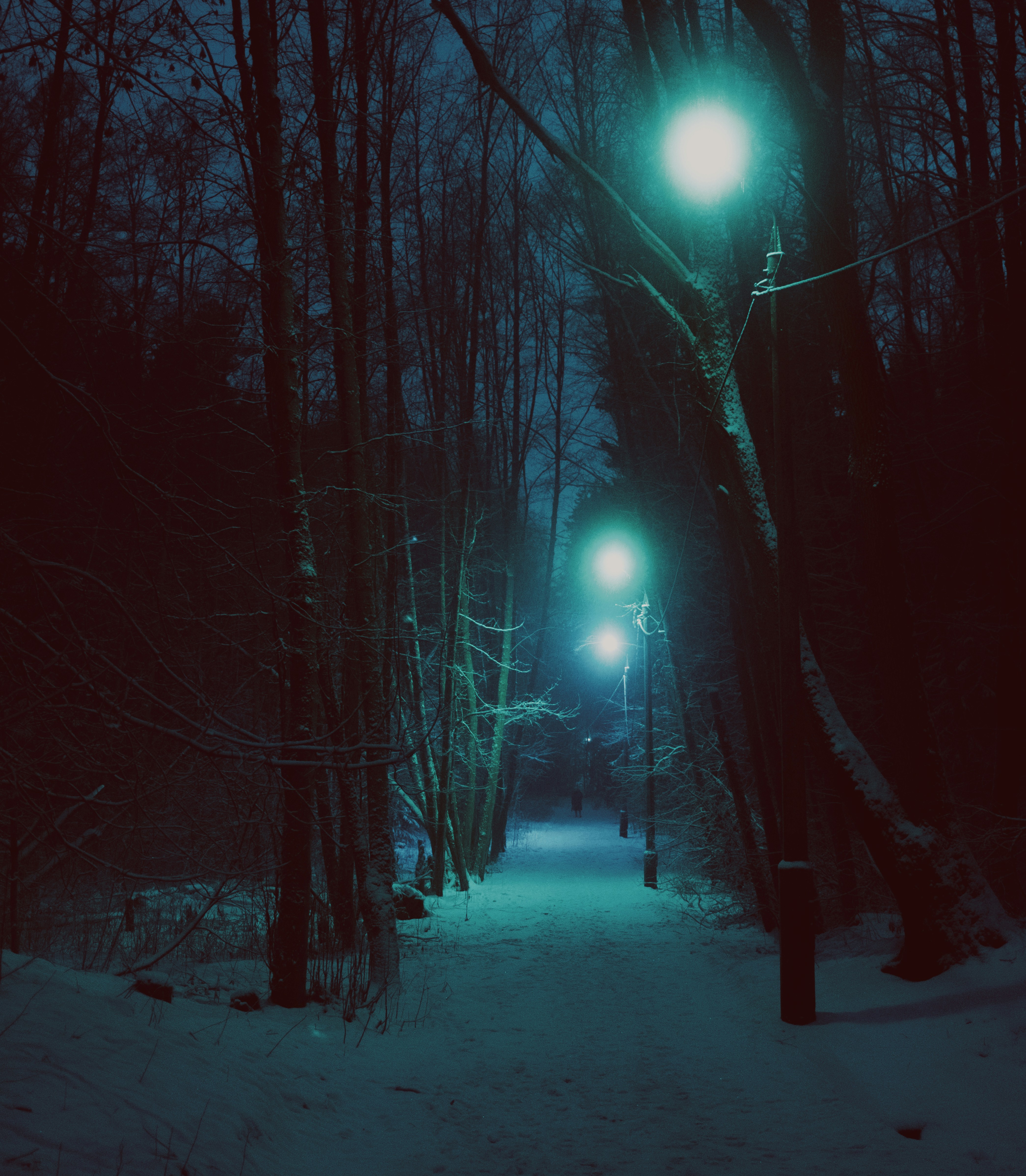 Photo by evil_bumblebee