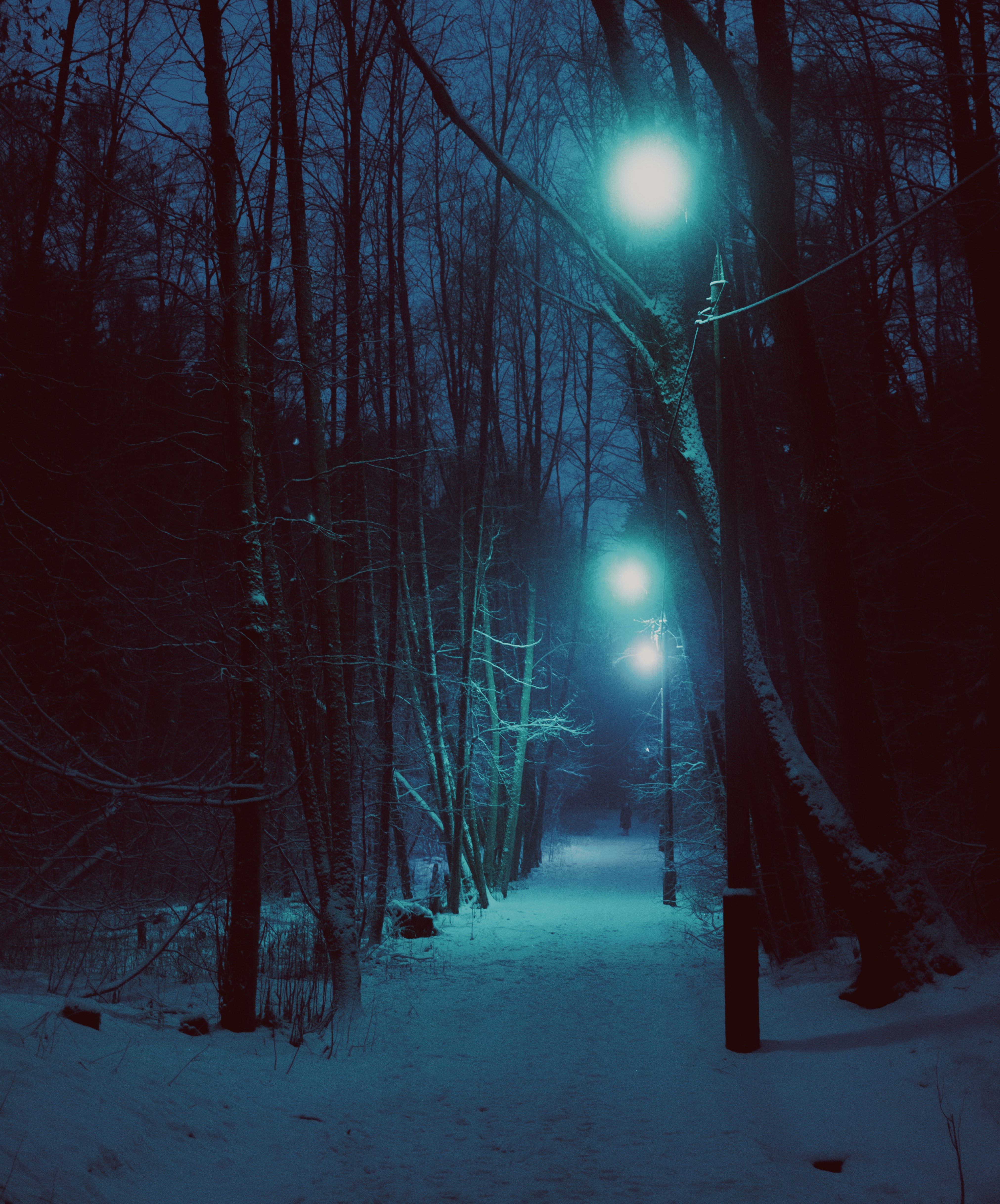 Photo by evil_bumblebee