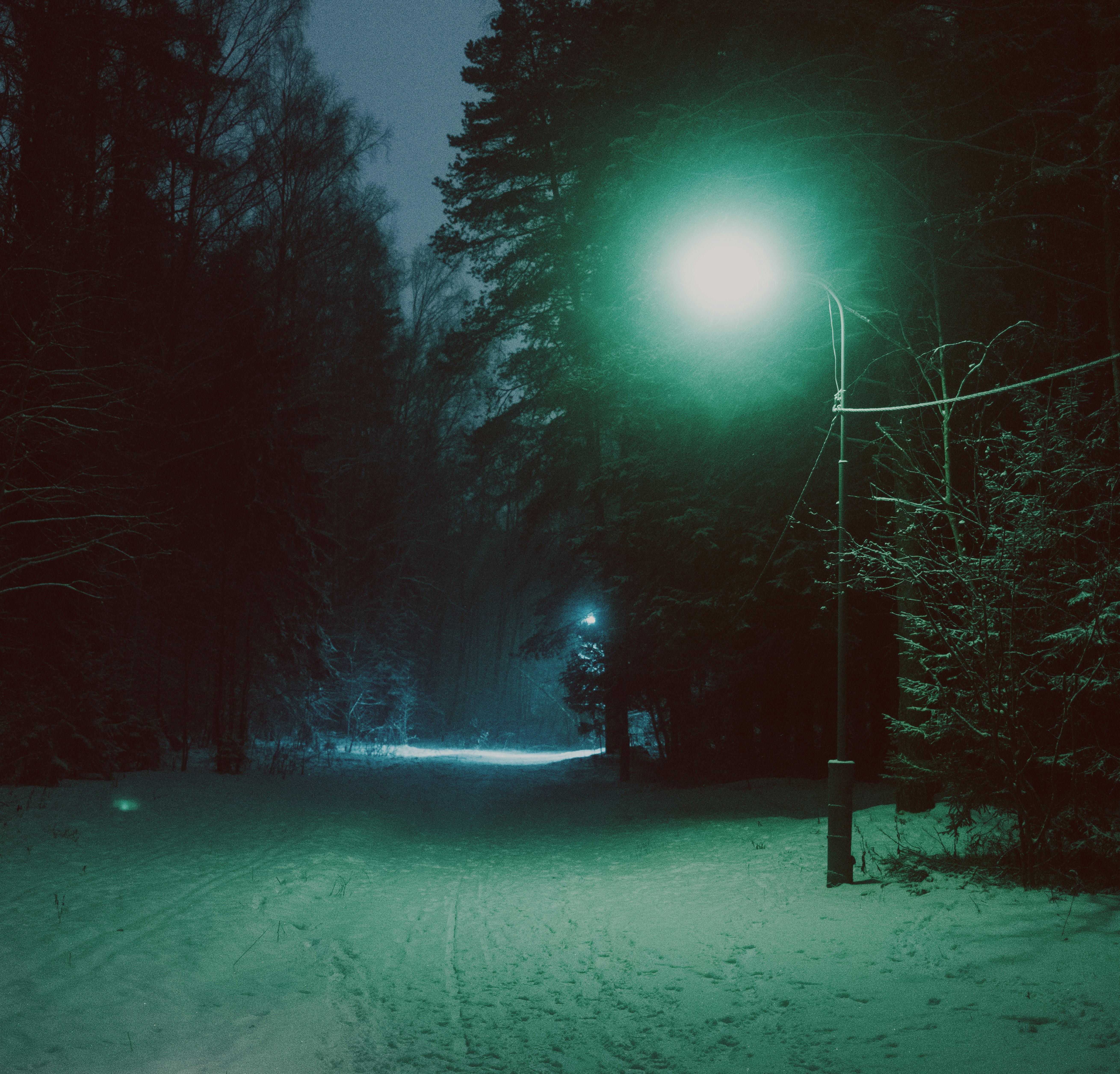 Photo by evil_bumblebee