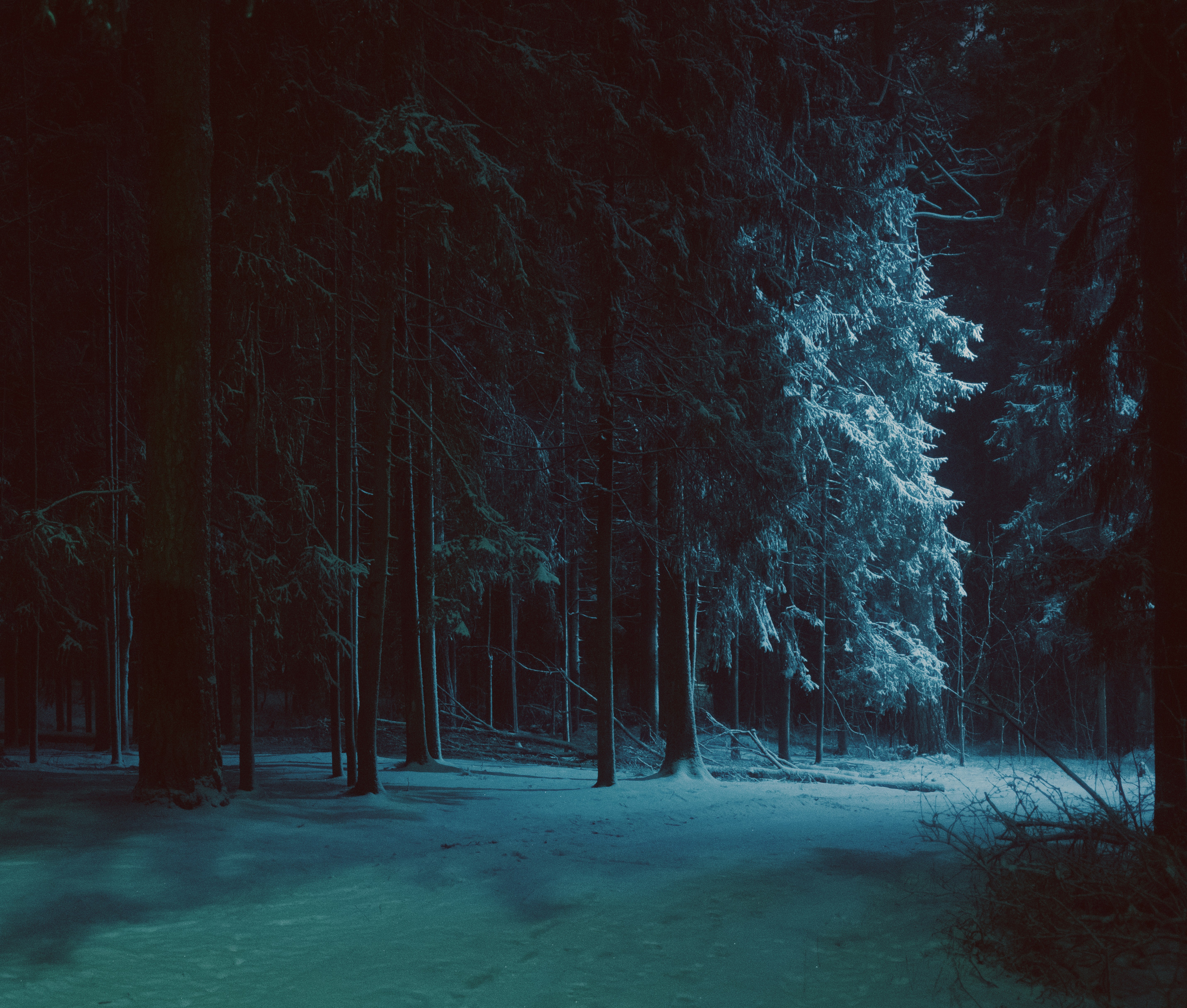 Photo by evil_bumblebee