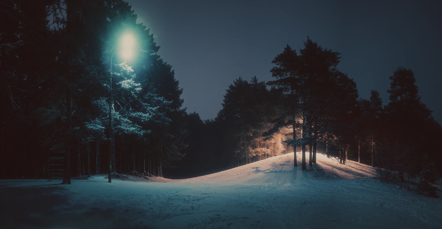 A snow-covered path through pines lit by a single lamp overhead at night