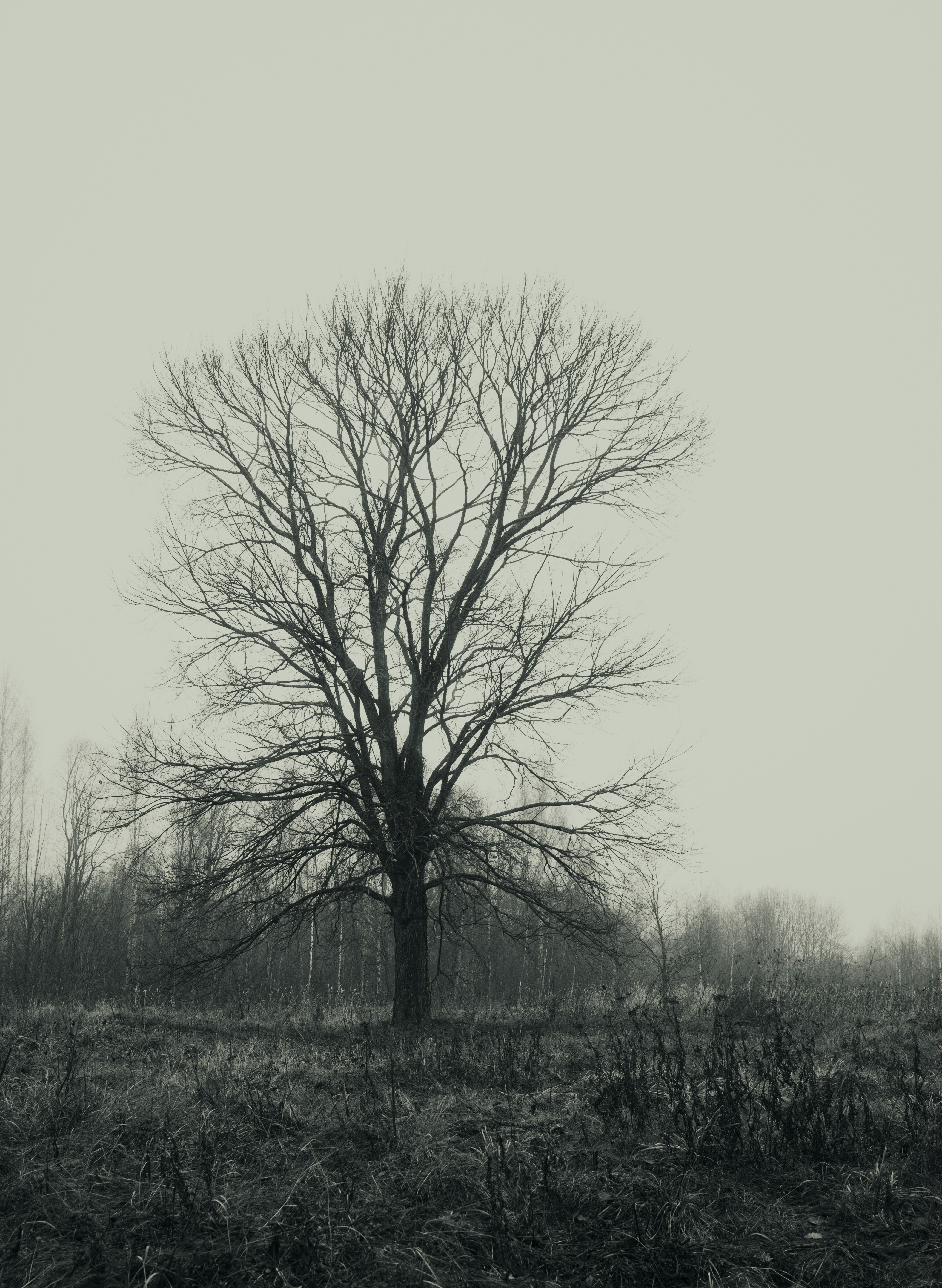 Photo by evil_bumblebee