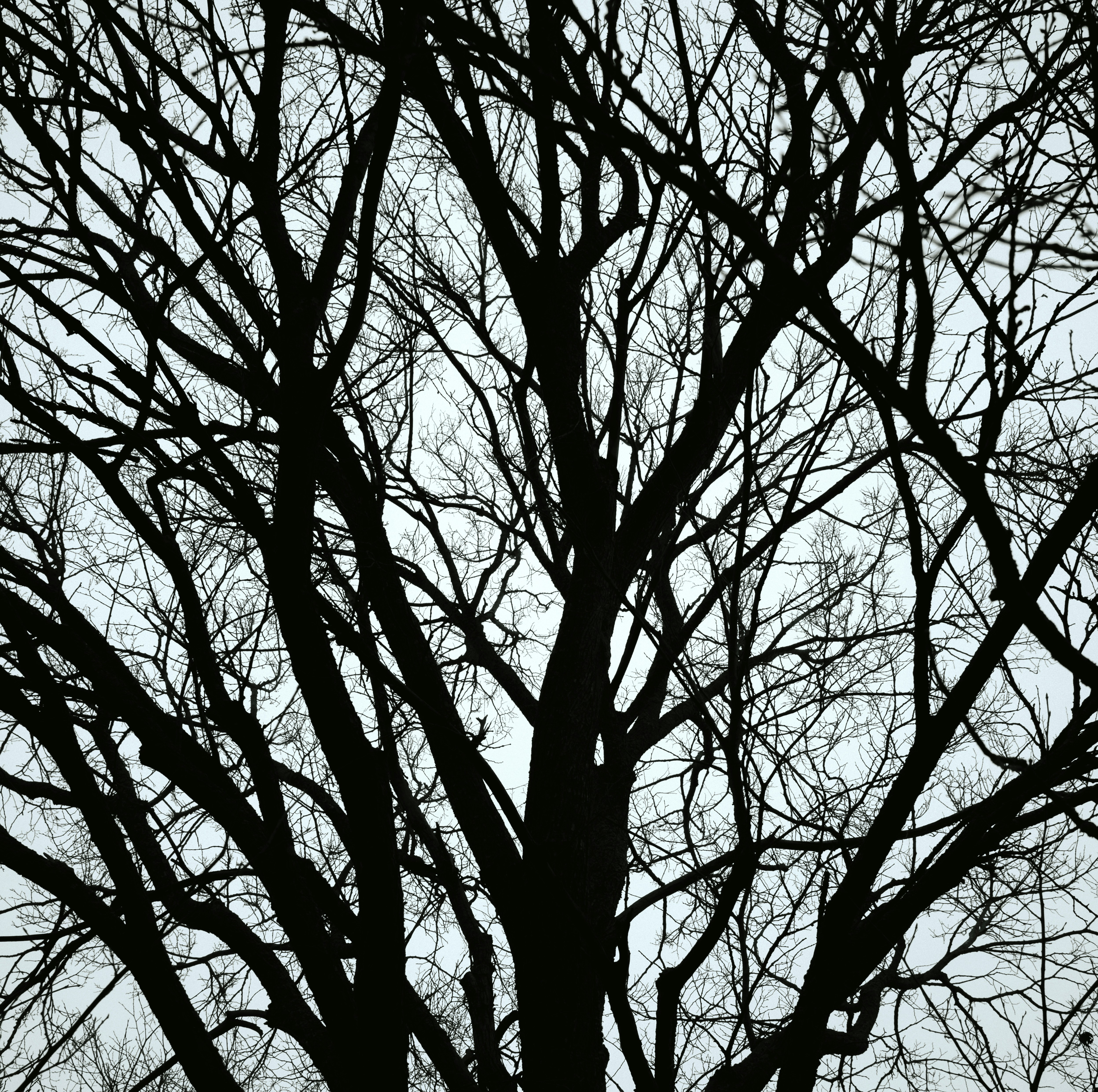 Photo by evil_bumblebee