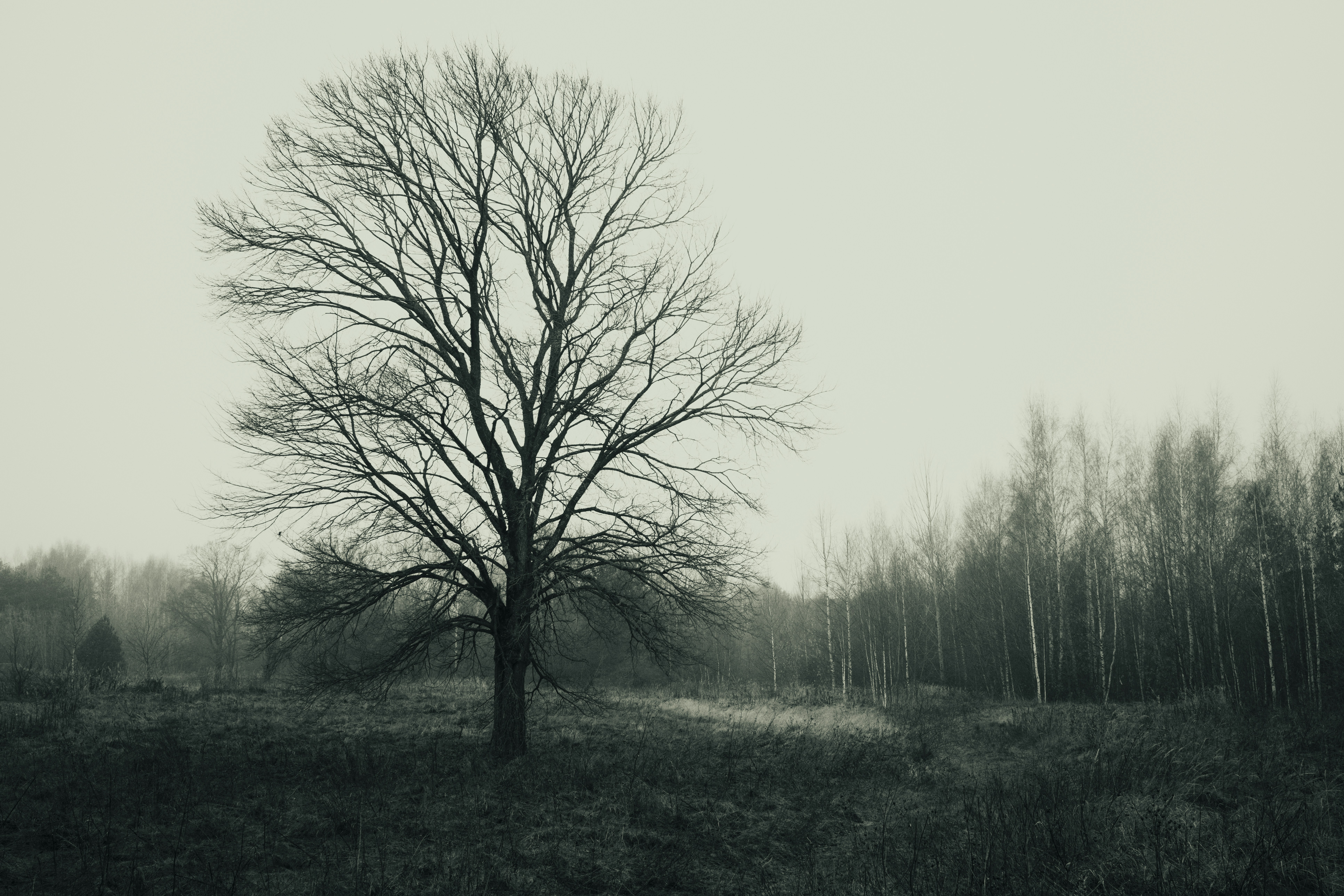 Photo by evil_bumblebee