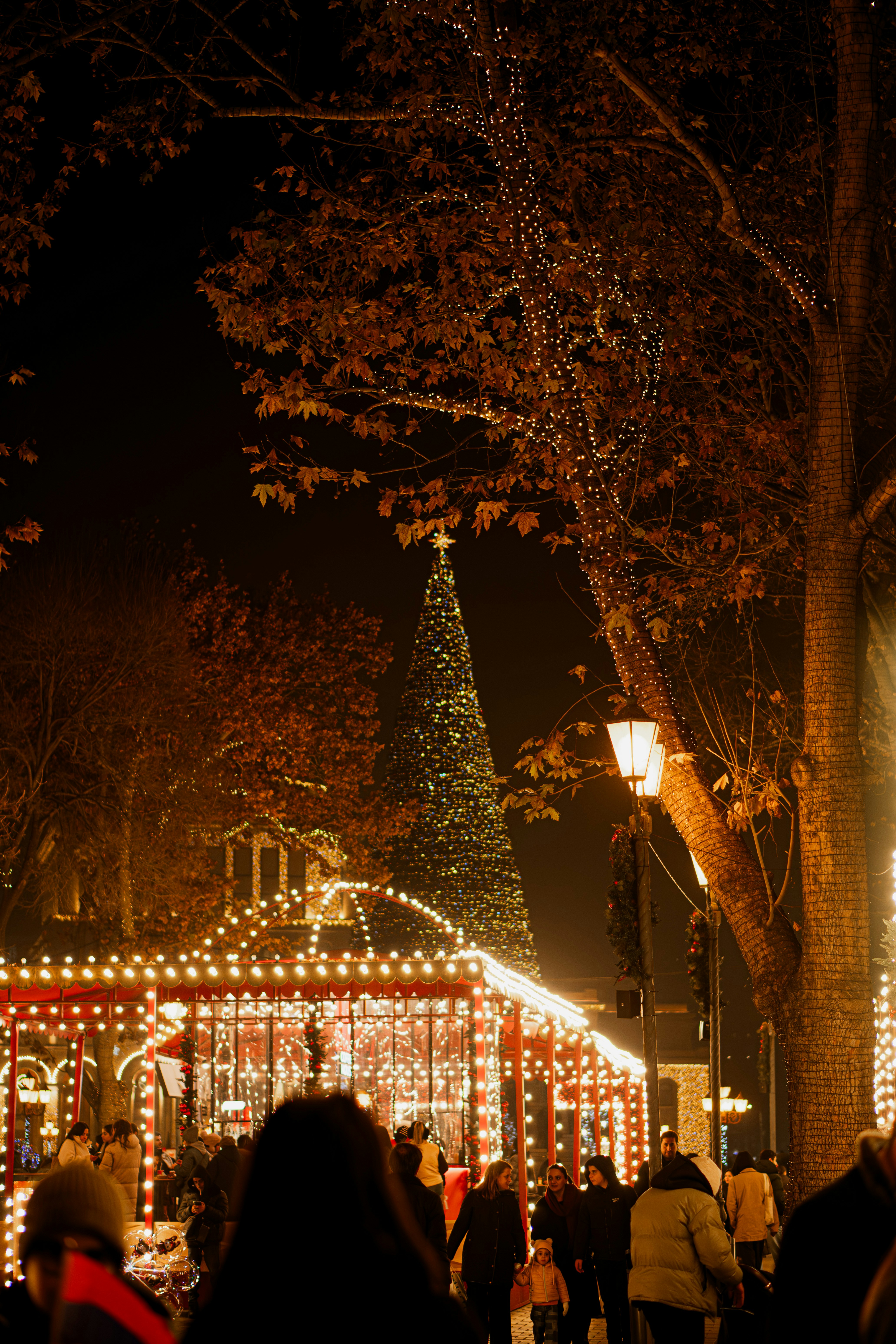 Photo by jack5parrow