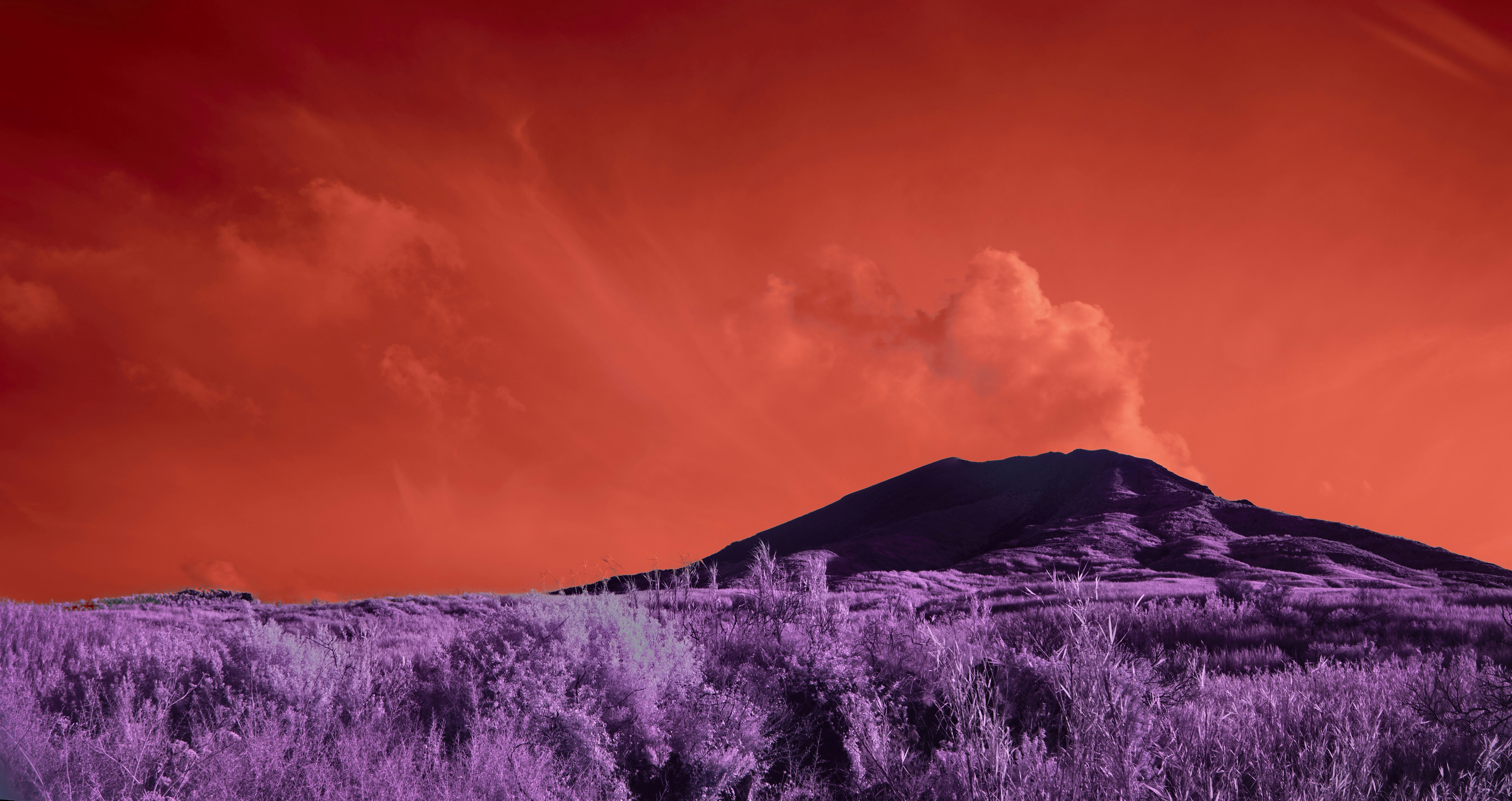 Photo by wolfgang_hasselmann