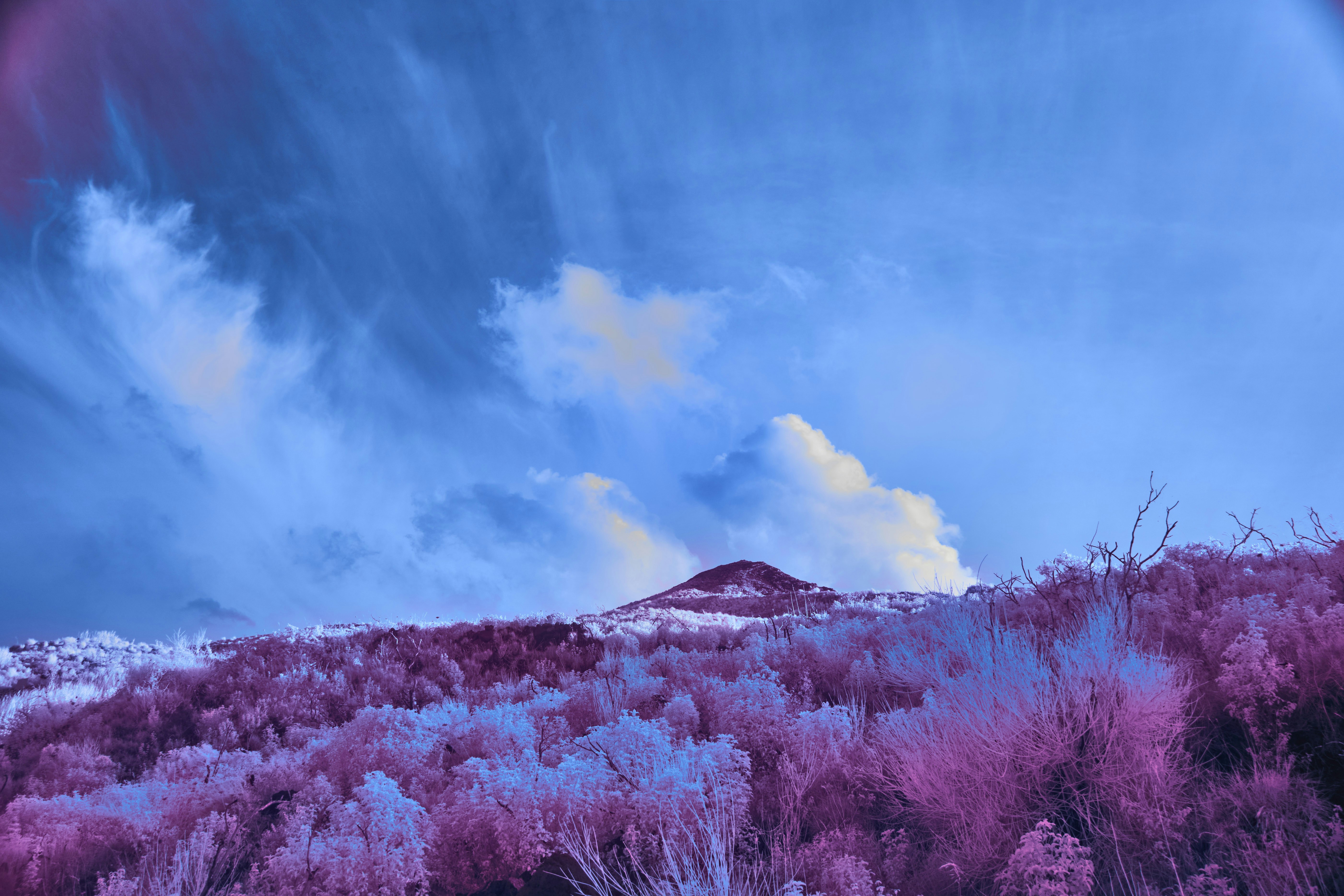 Photo by wolfgang_hasselmann