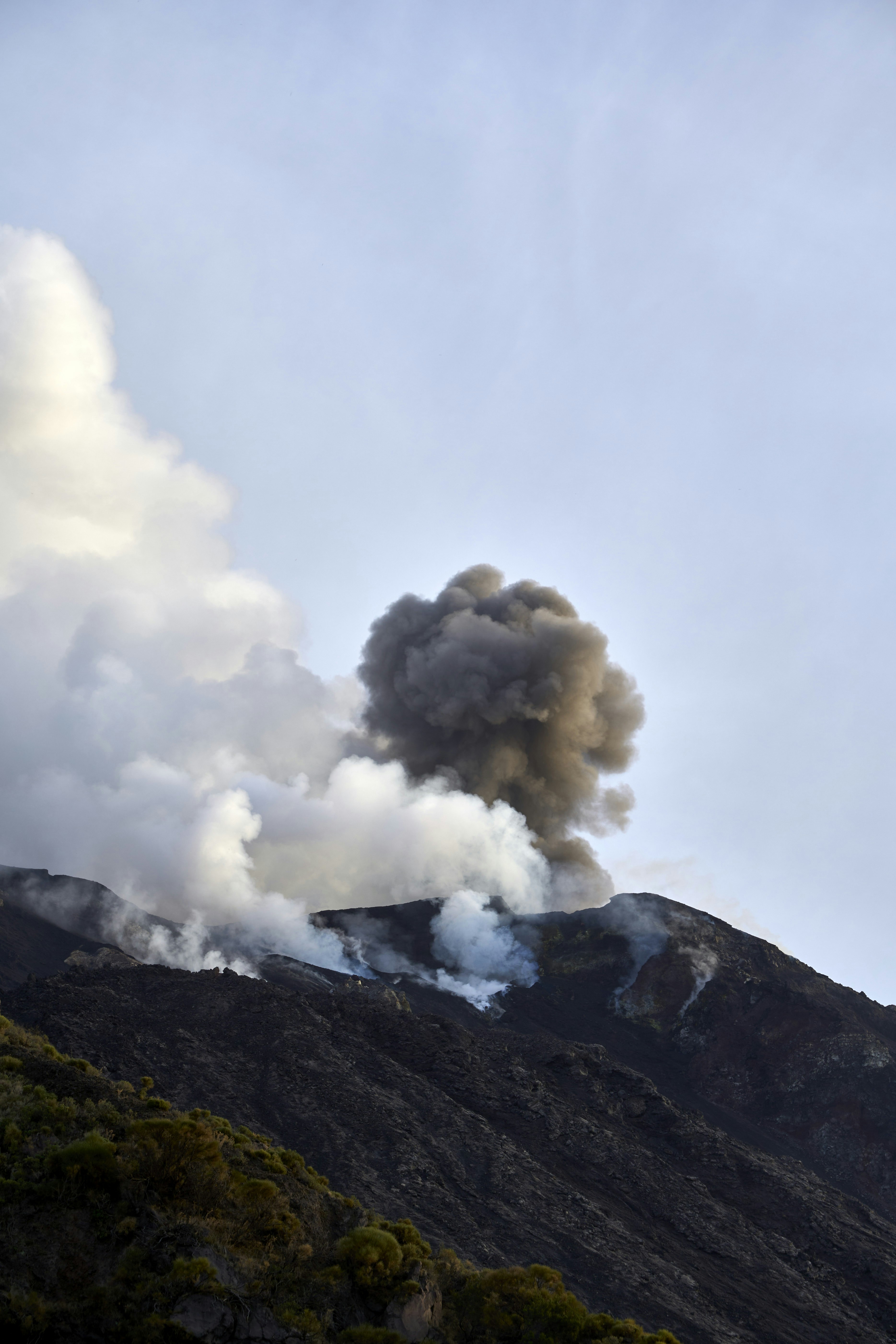 Photo by wolfgang_hasselmann