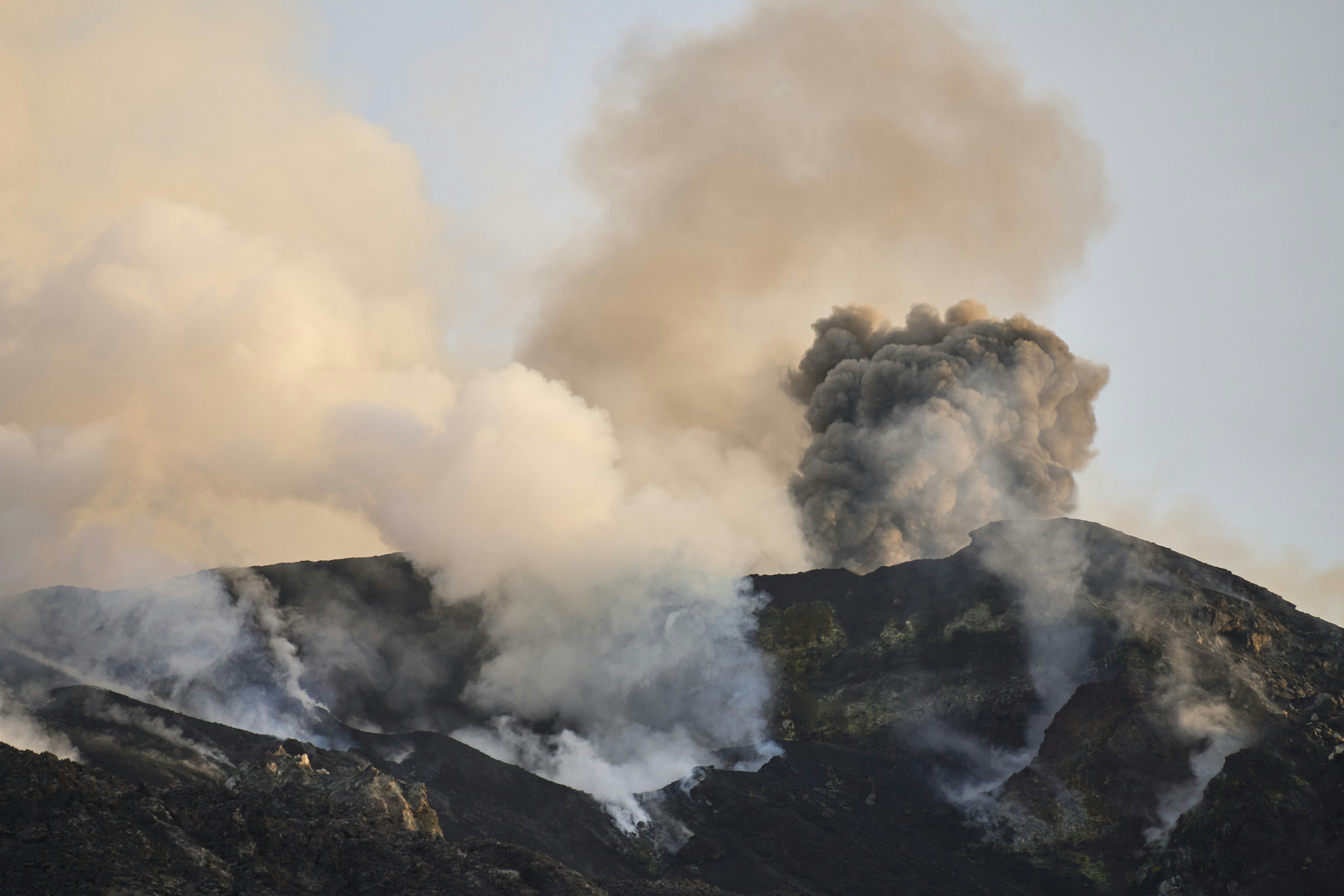 Photo by wolfgang_hasselmann